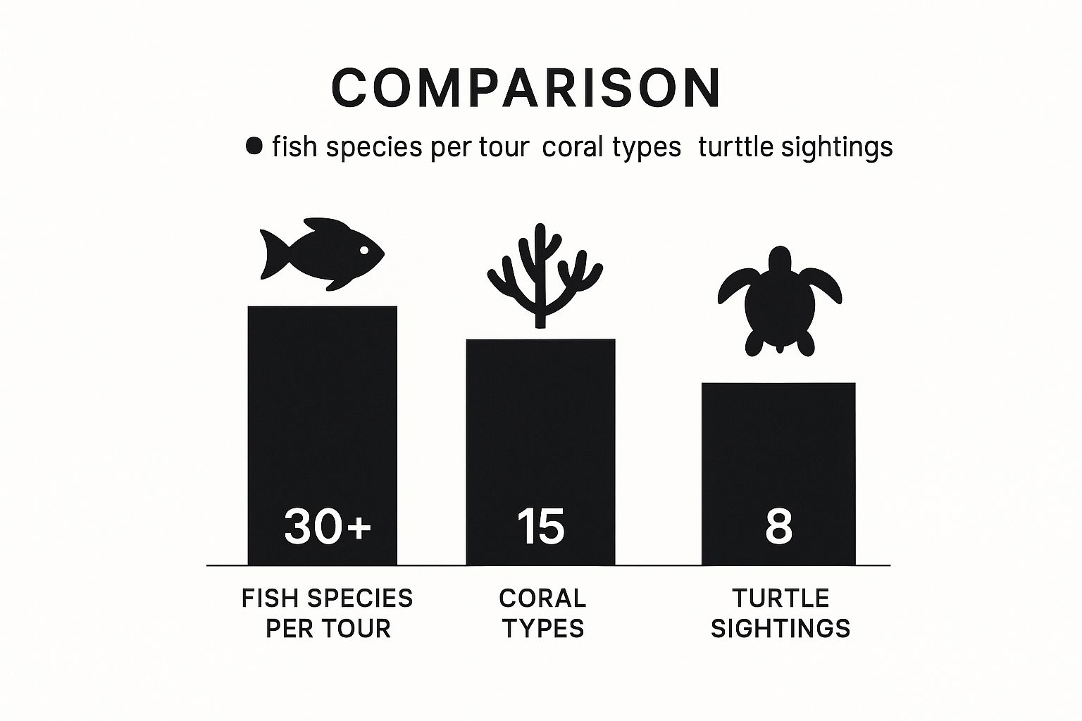 Infographic about captain cook snorkel tour