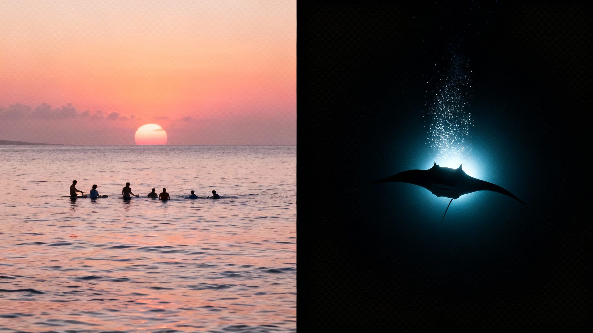 Split image: sunset over ocean with waders, and a manta ray silhouette illuminated in deep blue water.