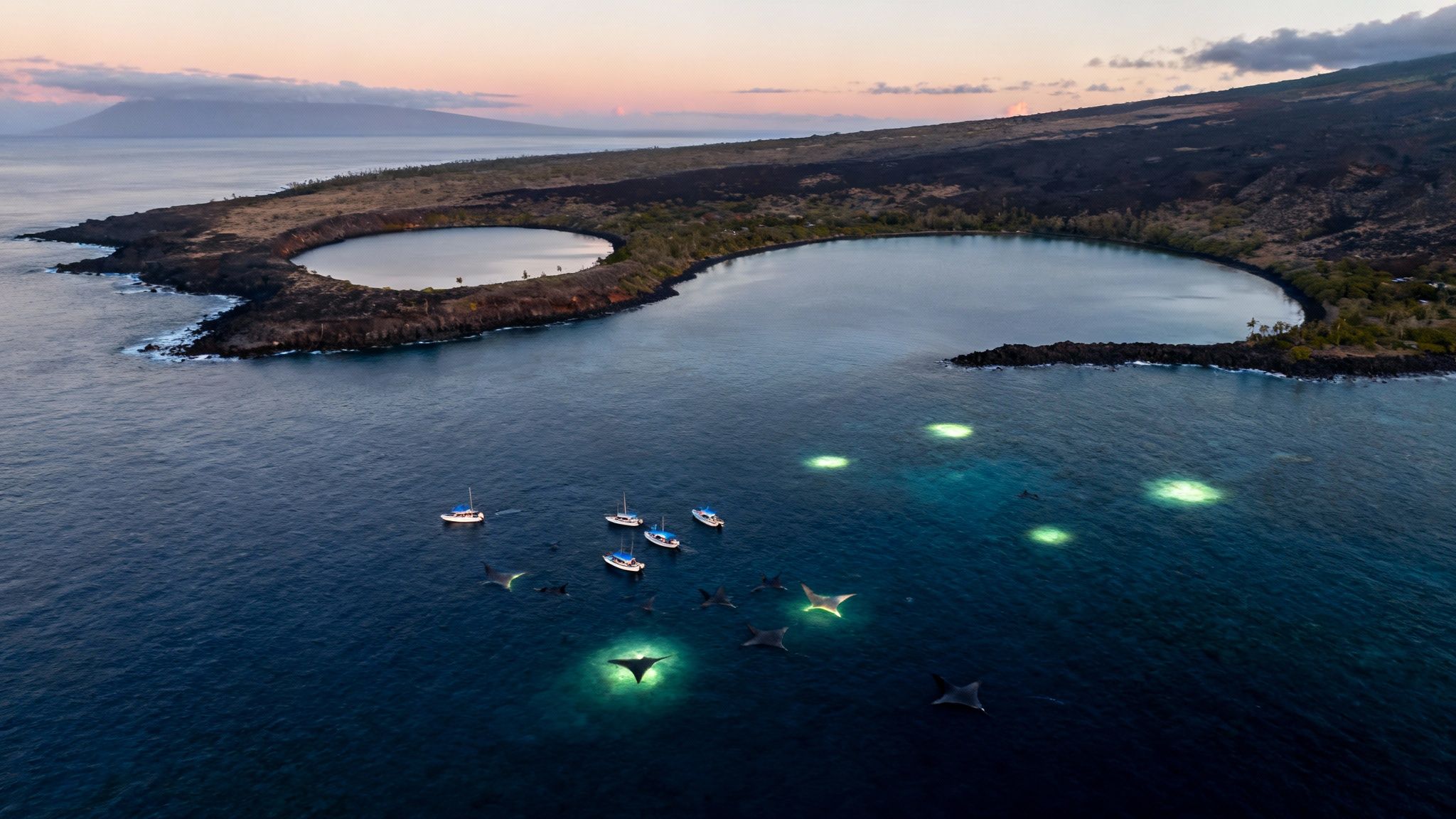 Aerial view of manta rays swimming near illuminated boats at dusk in a Hawaiian bay with lagoons.