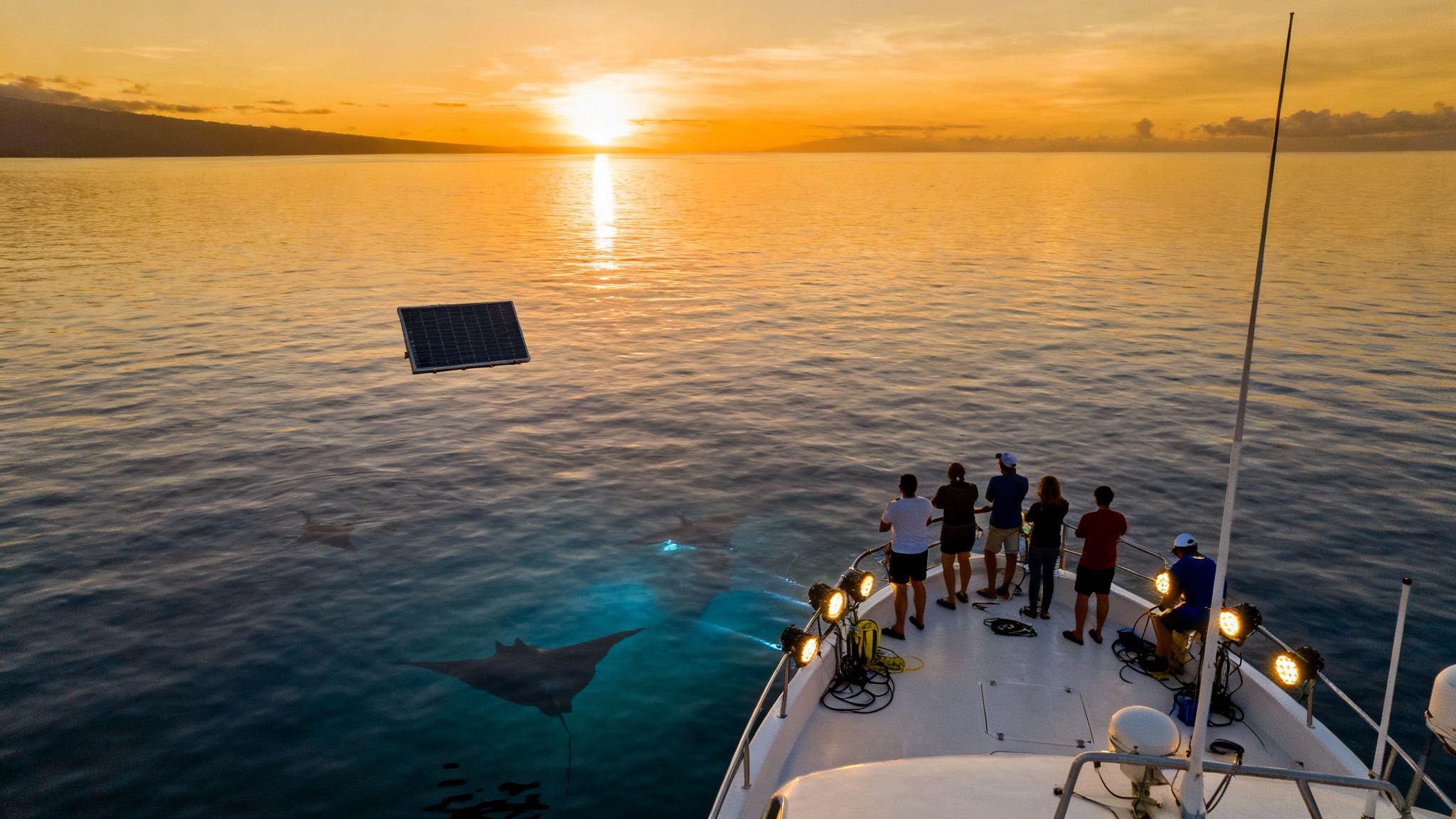 People on a boat watch manta rays illuminated in the ocean at sunset, with a floating solar panel.