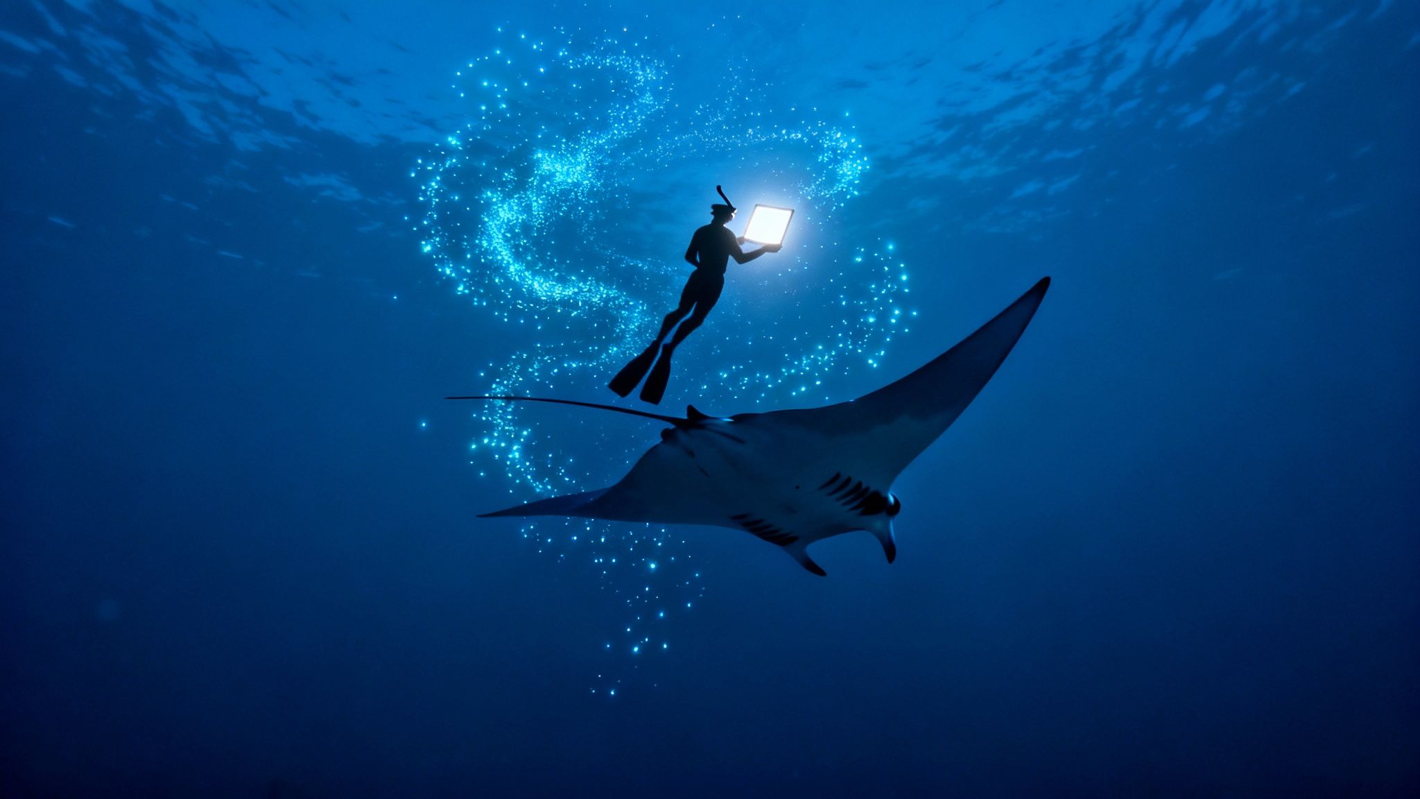 Your Guide to the Manta Ray Snorkel Kona Experience