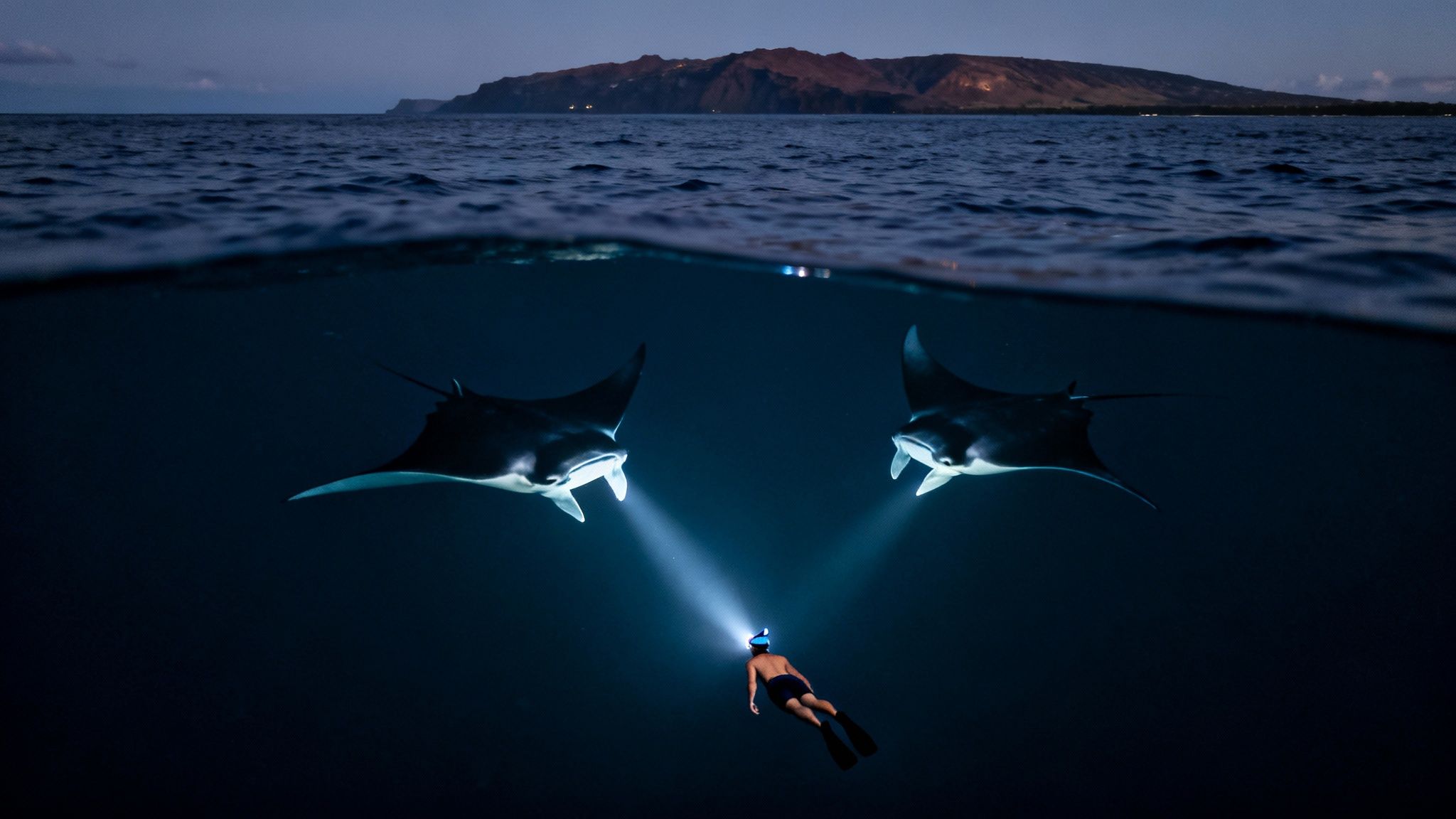 A swimmer with a headlamp illuminates two manta rays underwater, with an island visible above.
