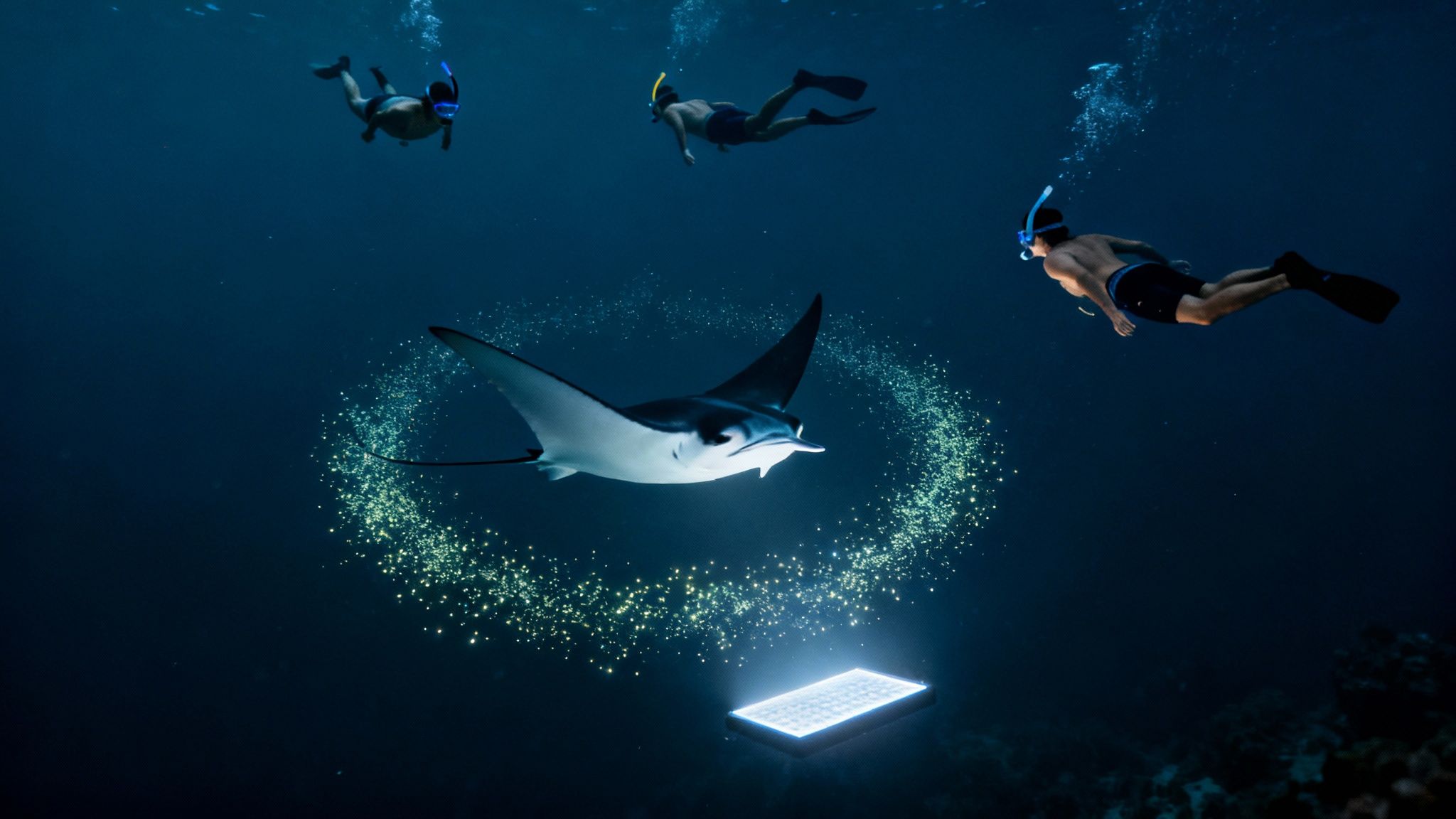 Three snorkelers observe a majestic manta ray swimming over a glowing light source attracting marine life.