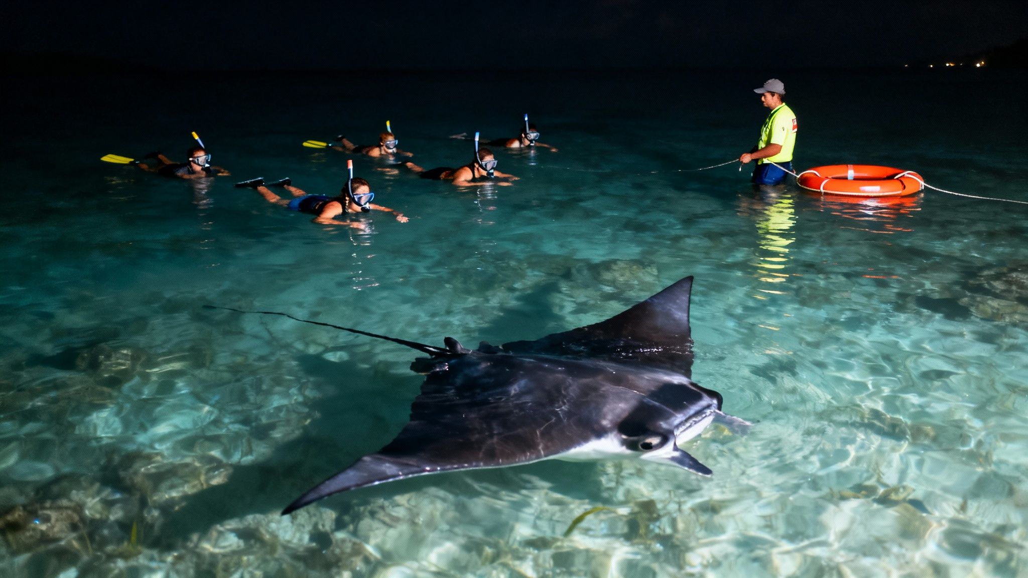 People night snorkeling with a large manta ray and a guide in clear tropical ocean water.