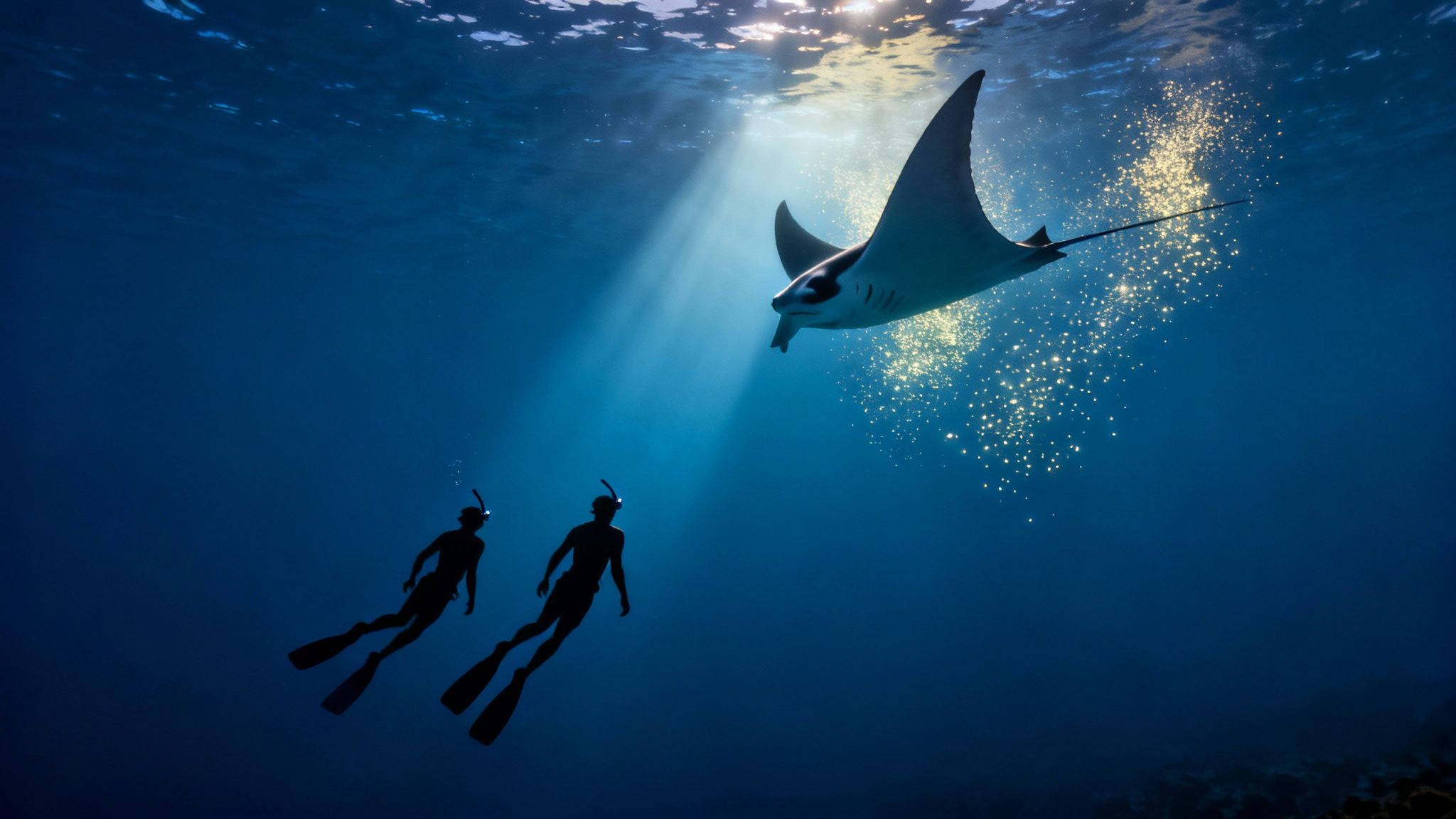 Two snorkelers with fins and masks observe a majestic manta ray in the deep blue ocean with sun rays.