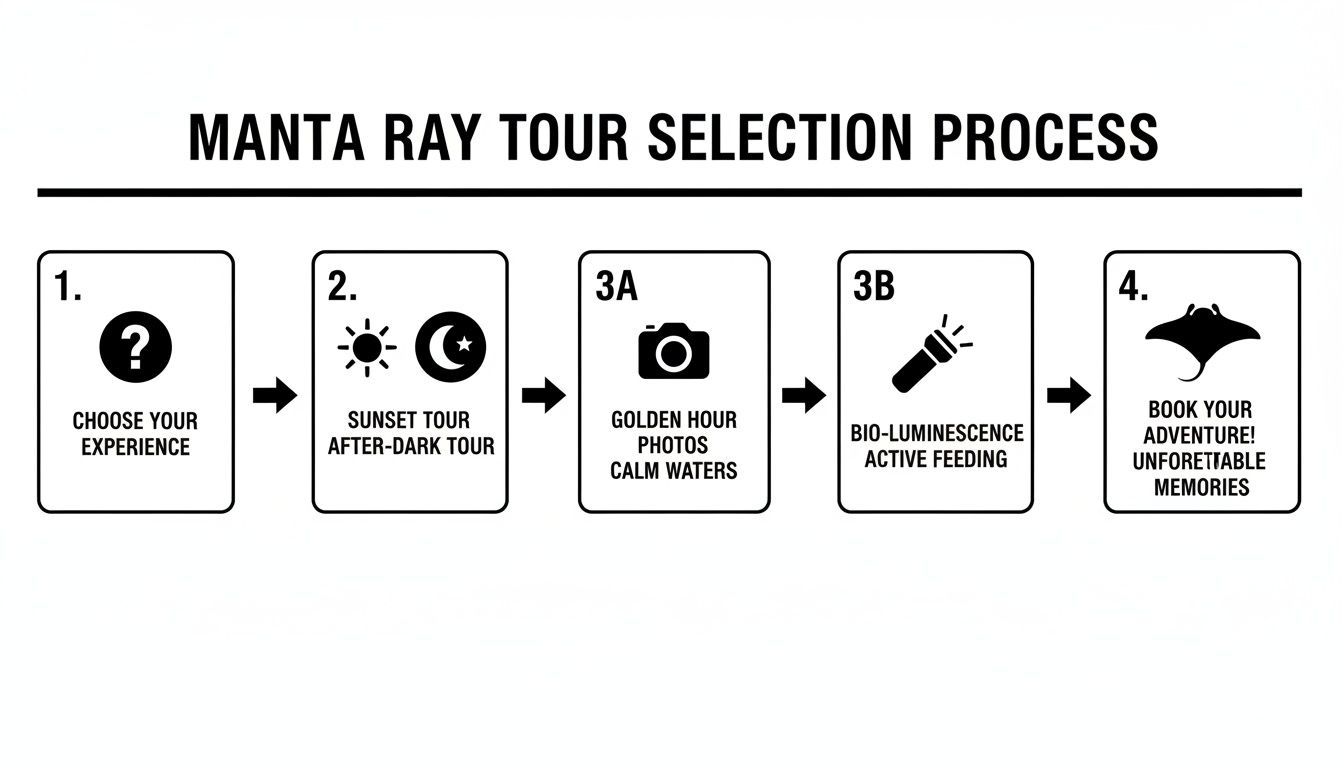 Flowchart outlining the Manta Ray Tour selection process, from choosing an experience to booking.