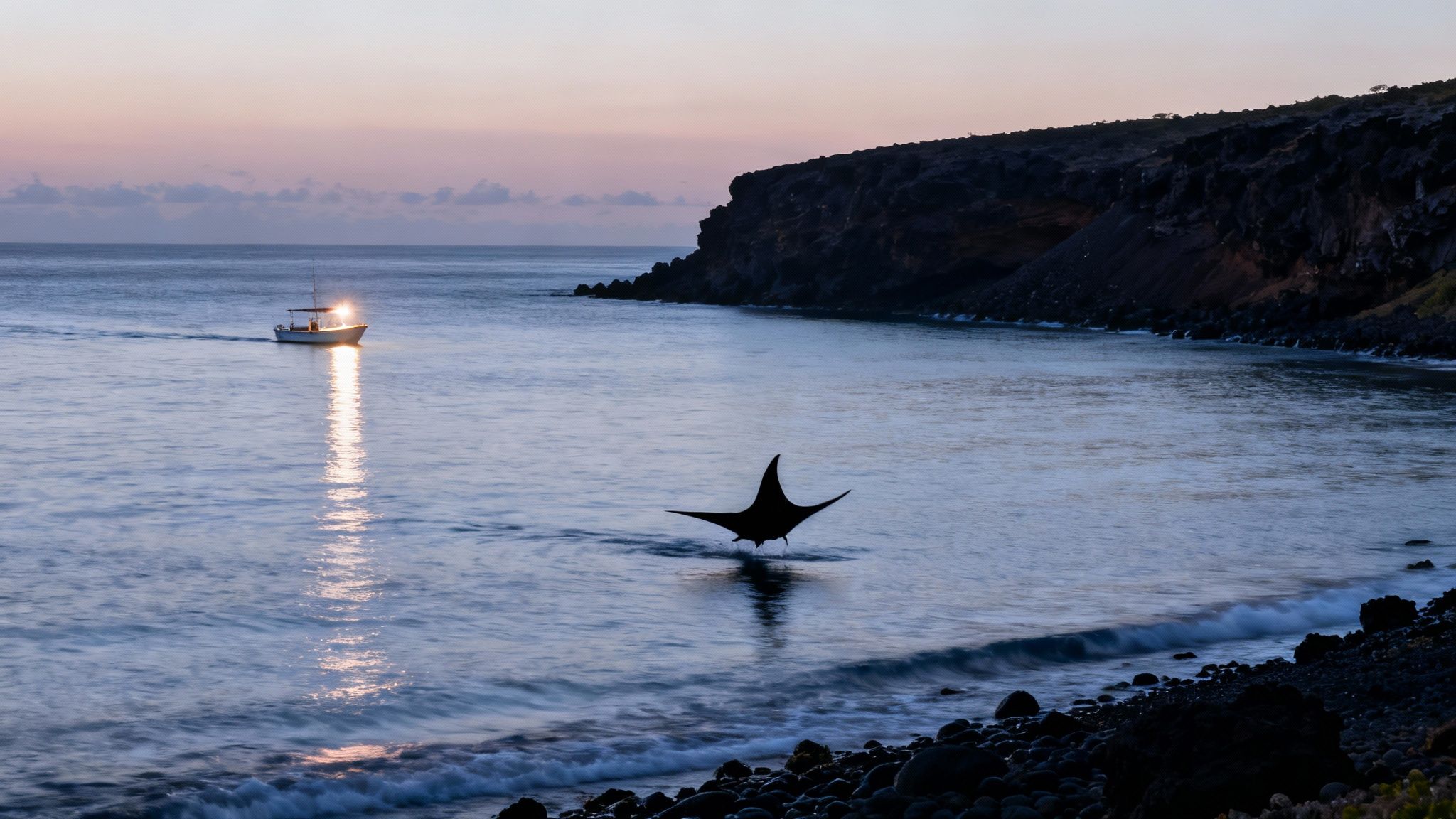 A boat with a bright light moves across the calm ocean at dusk, near a jumping manta ray and rocky shore.