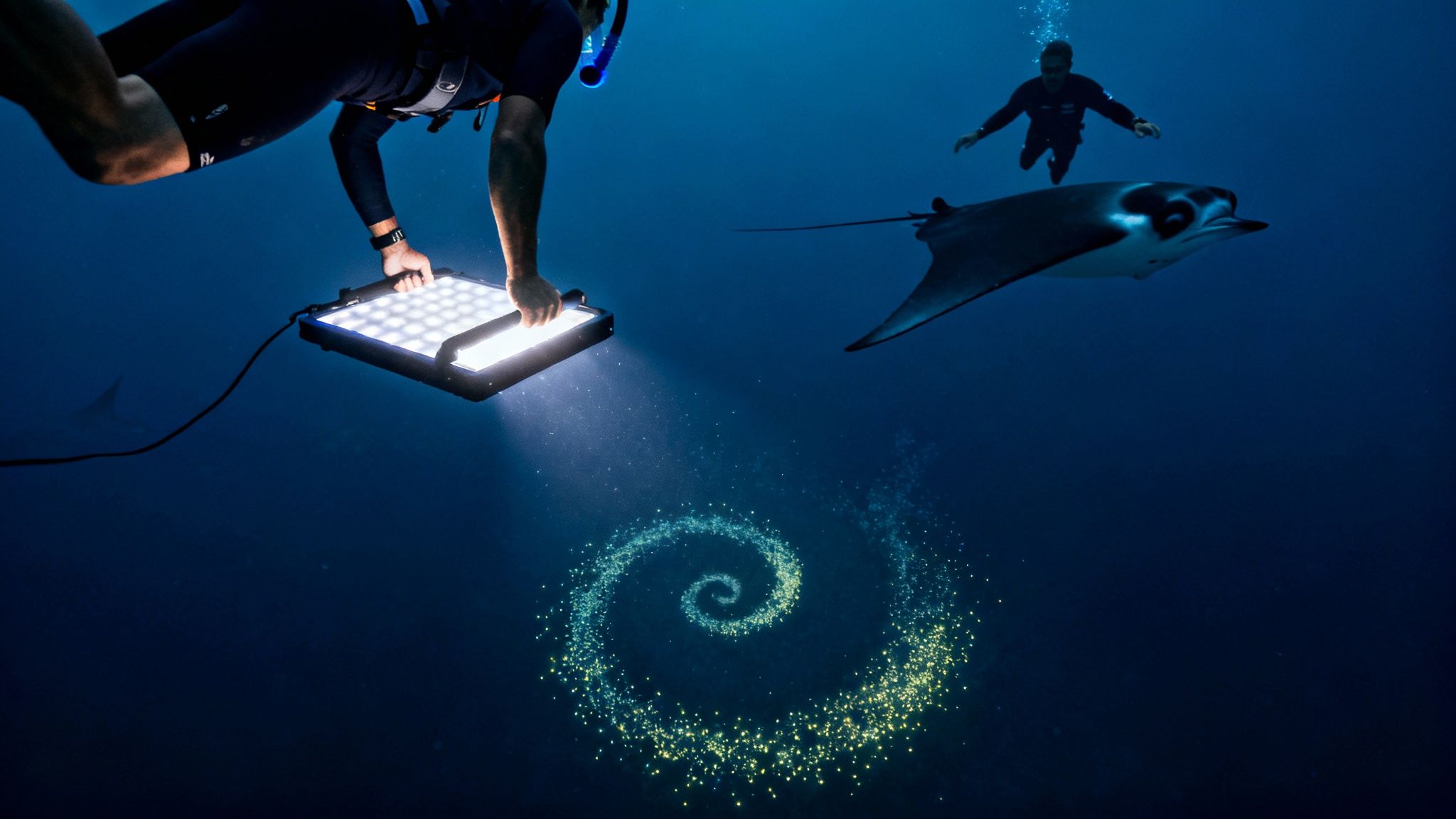 Night dive with divers illuminating a spiral of glowing plankton near a manta ray.
