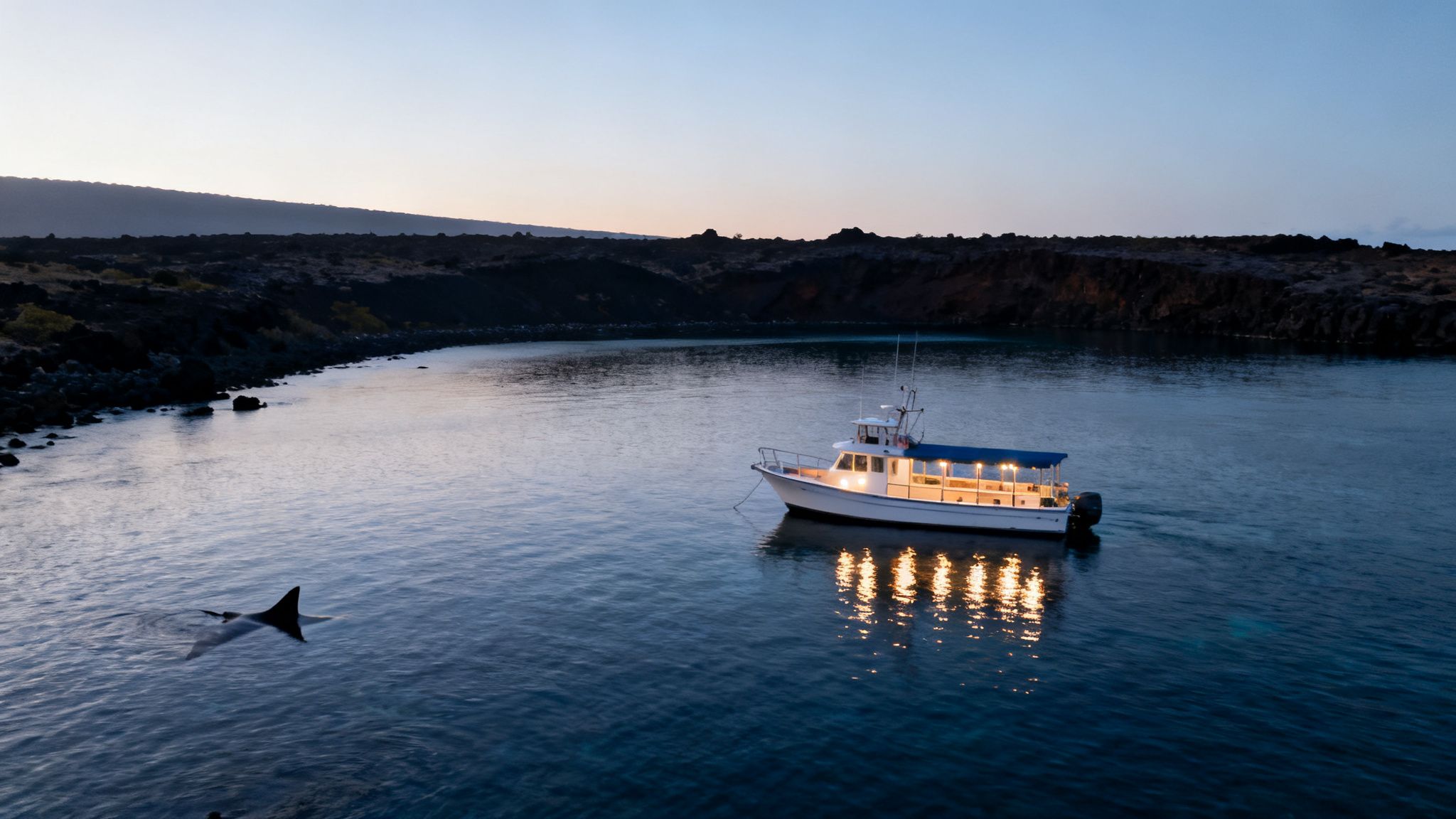 Illuminated boat on calm water at dusk with a manta ray fin, volcanic coast in background.
