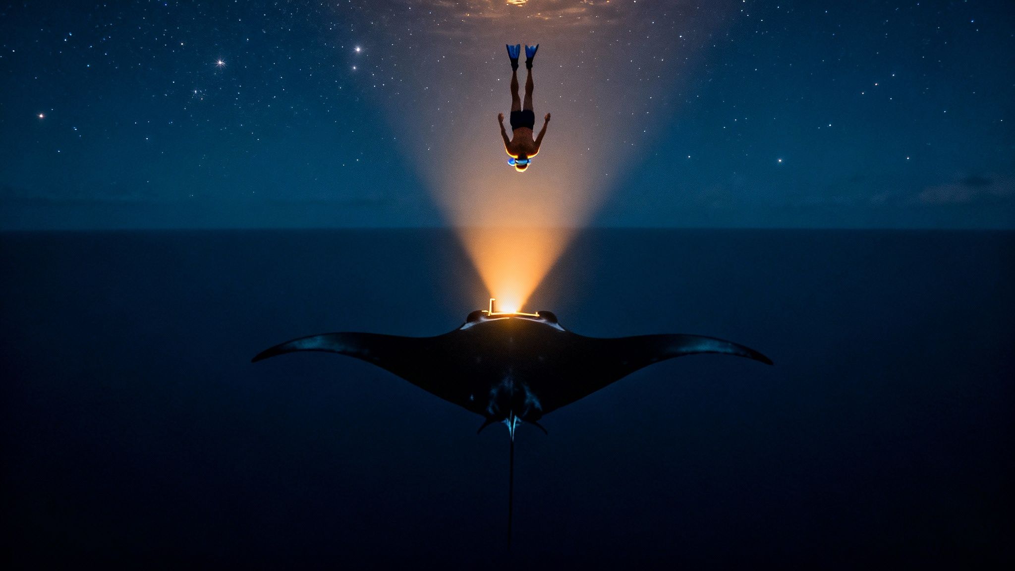 A group of snorkelers watching a giant manta ray swim gracefully beneath them at night in Kona, Hawaii.
