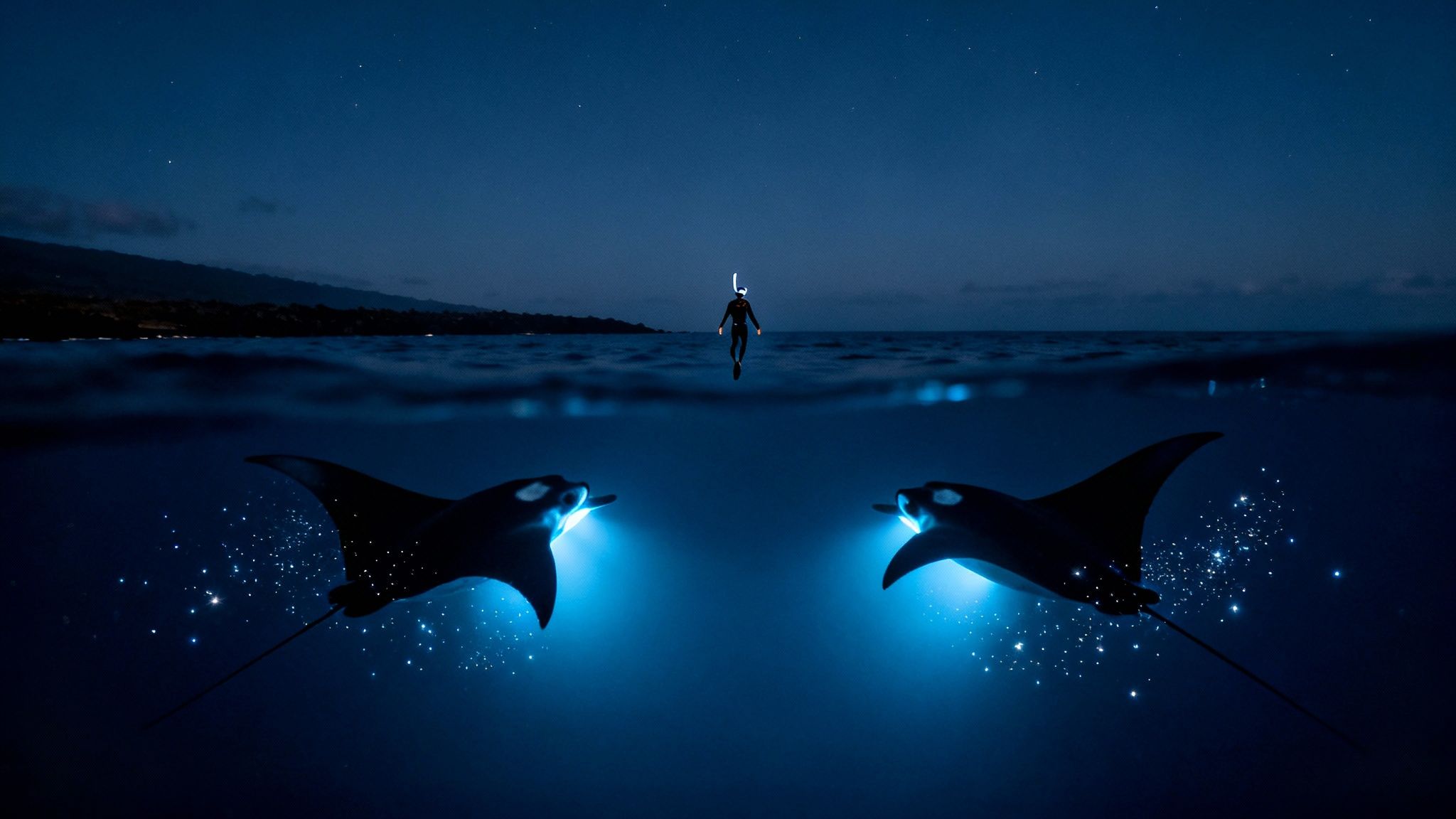 A person snorkeling at night above two glowing manta rays in dark ocean water under a starry sky.