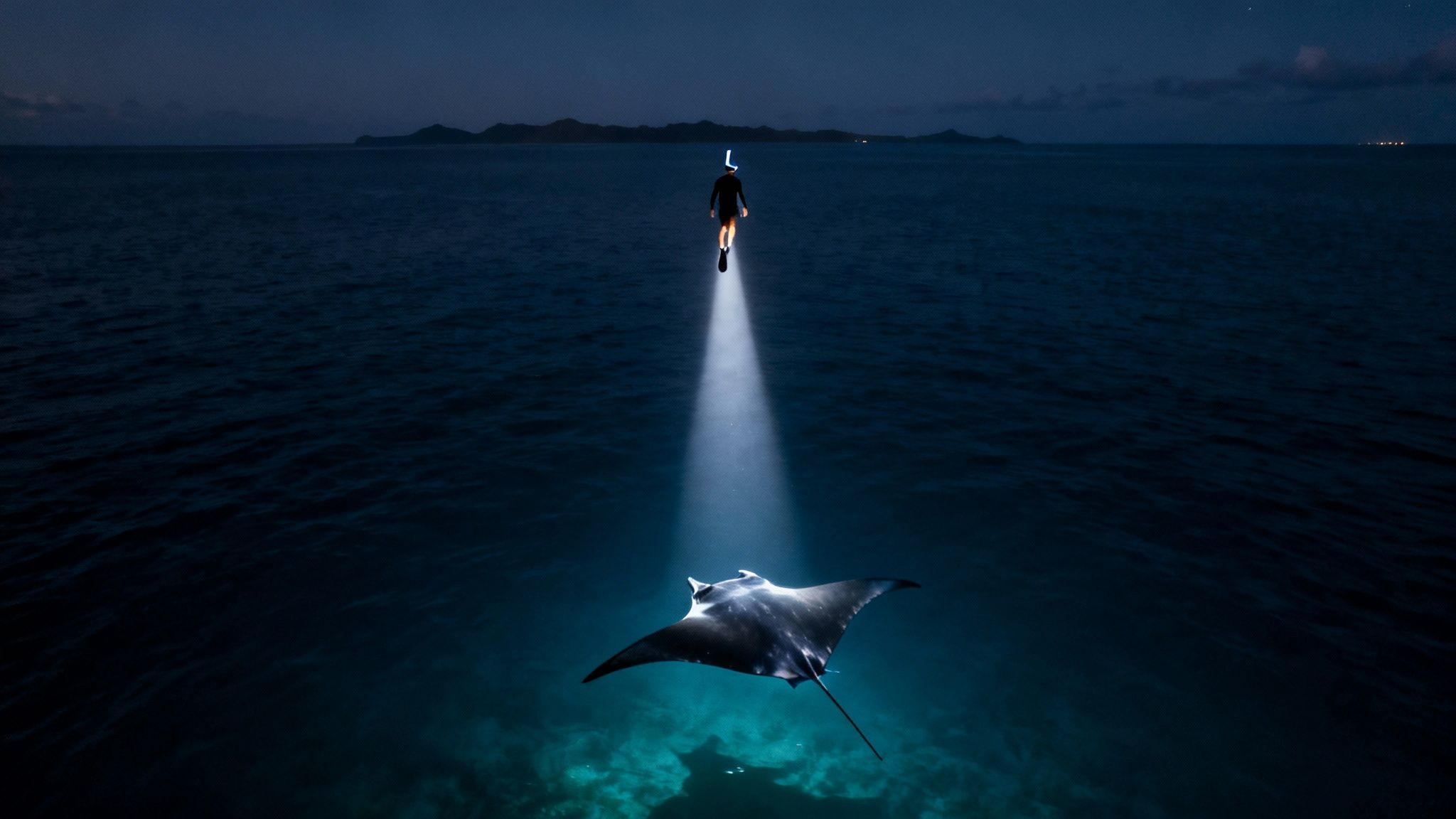 A group of snorkelers watching a manta ray glide gracefully underneath them at night.