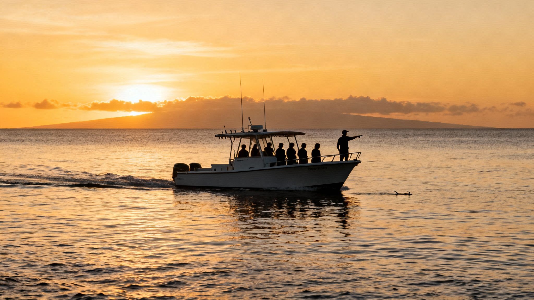 Silhouette of a boat with people watching a manta ray during a golden sunset.