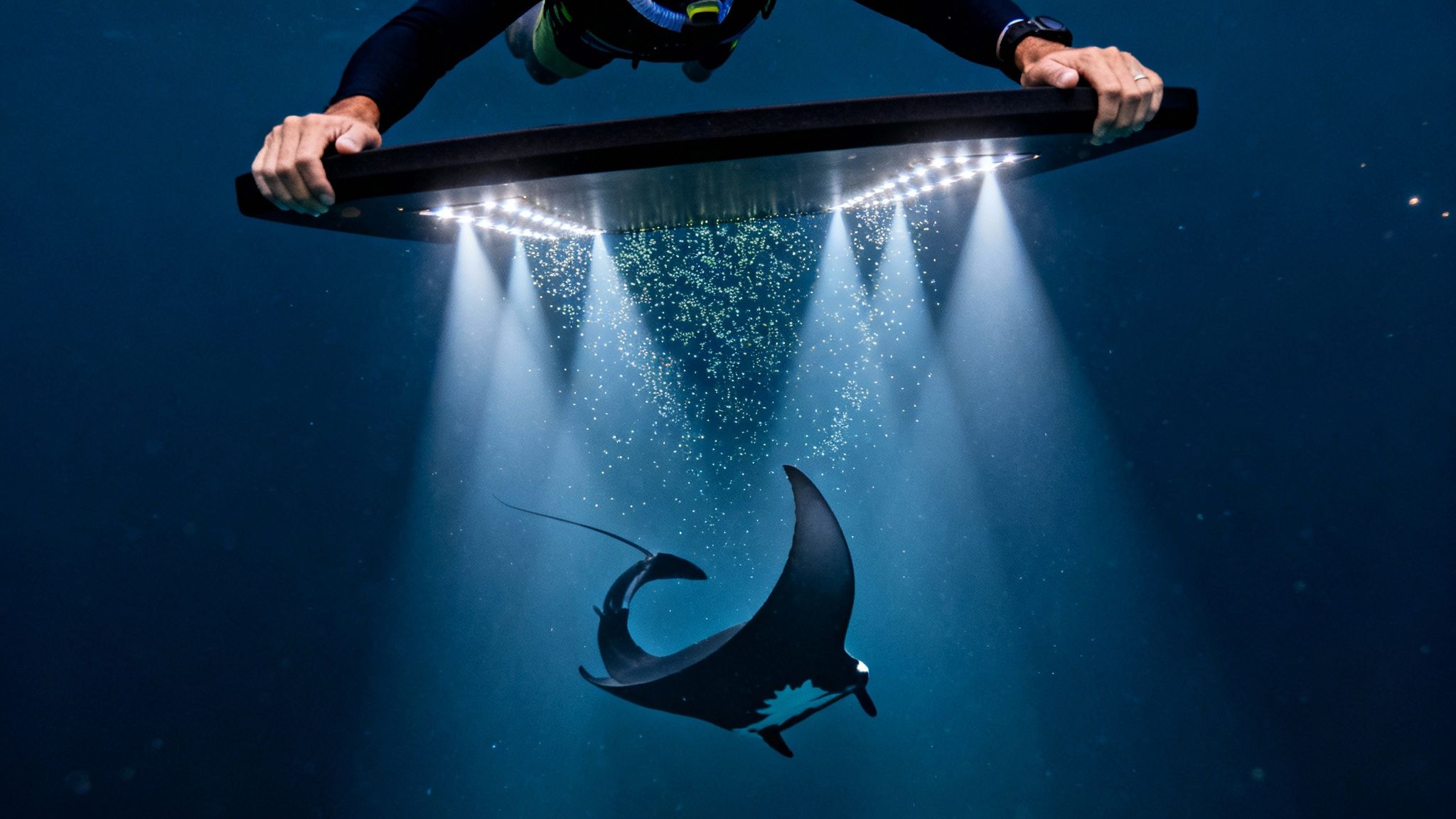 Diver holding an illuminated board underwater attracting a manta ray with glowing plankton.