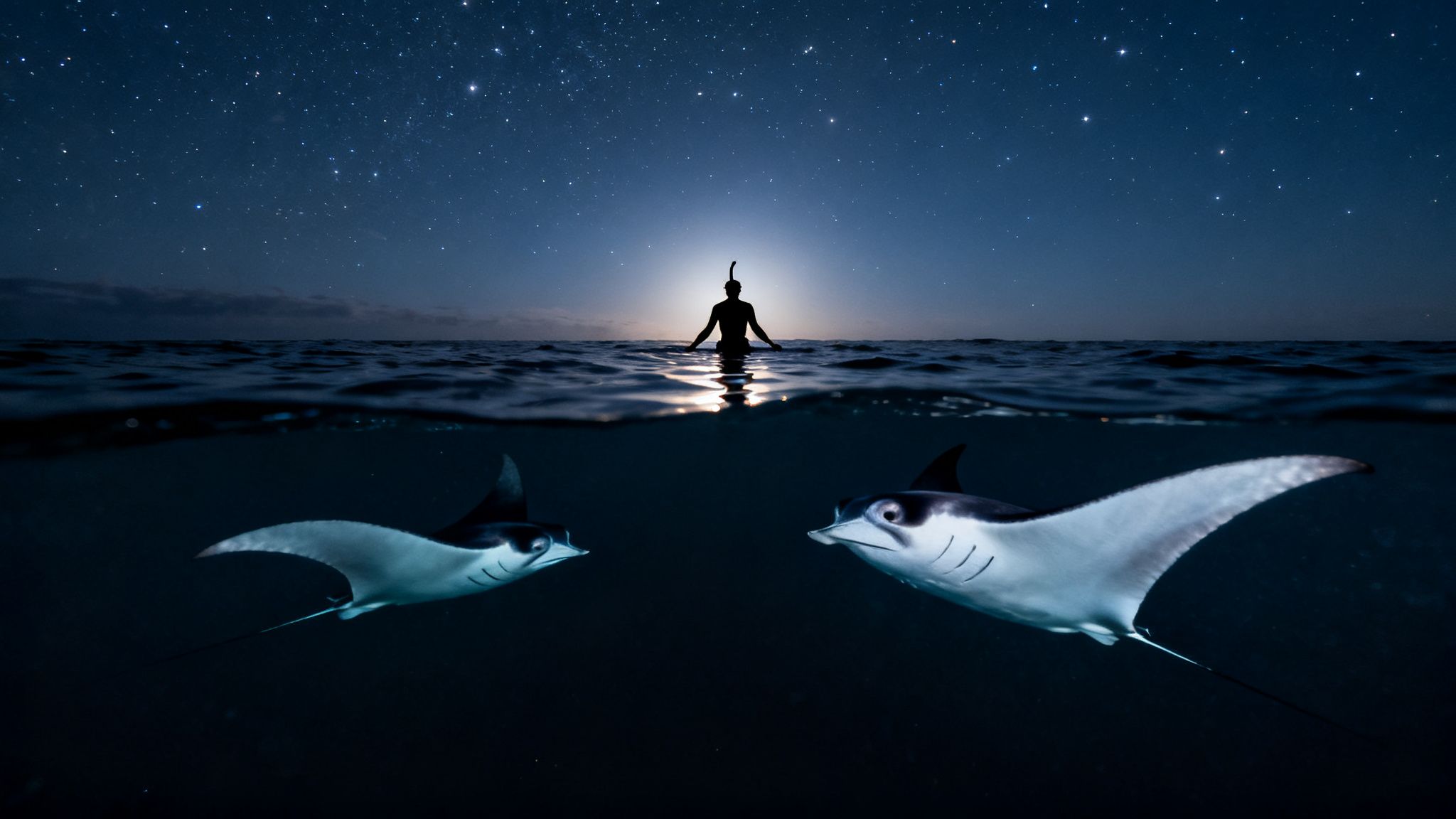 Split-level shot of a snorkeler under a starry night sky with two manta rays underwater.