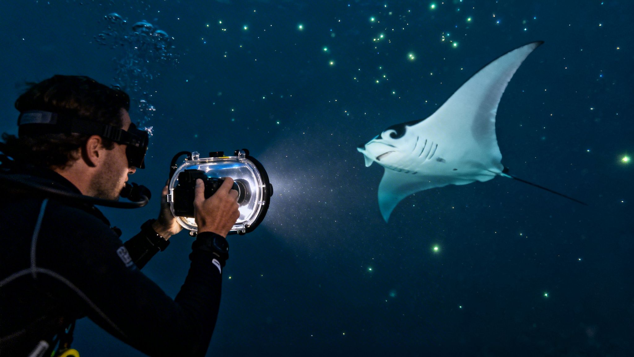 A diver photographs a majestic manta ray swimming in dark, bioluminescent waters.