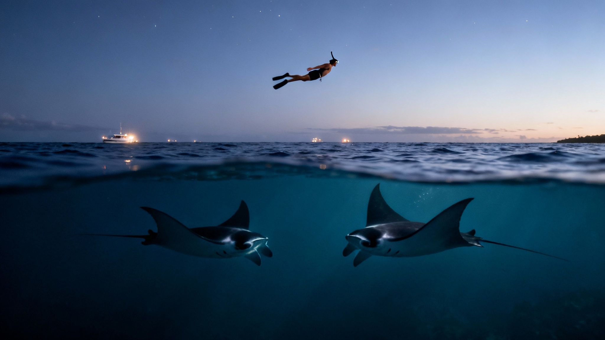 A captivating split image shows a snorkeler above a starry ocean and two manta rays swimming below.