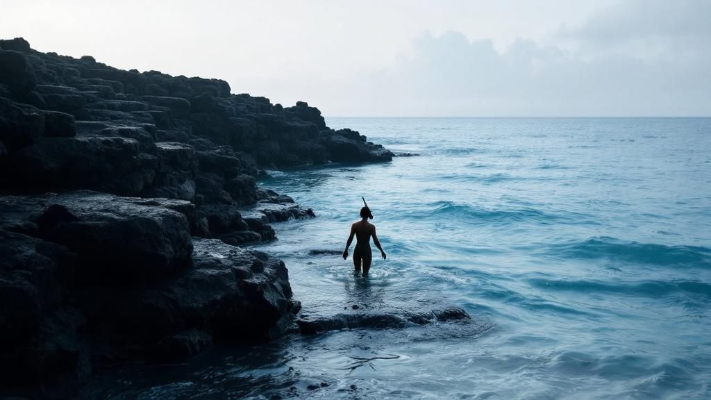 Honaunau Bay (Two Step)