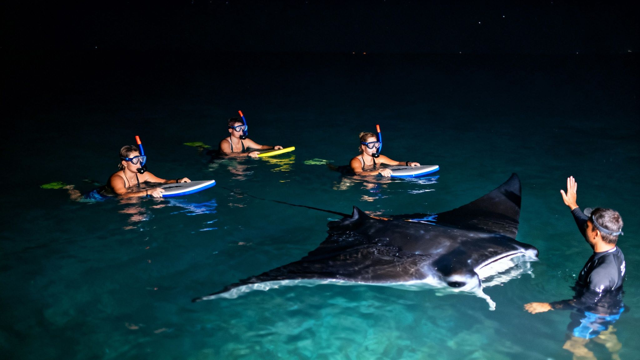 Tourists snorkel at night with a giant manta ray, illuminated in clear ocean waters.