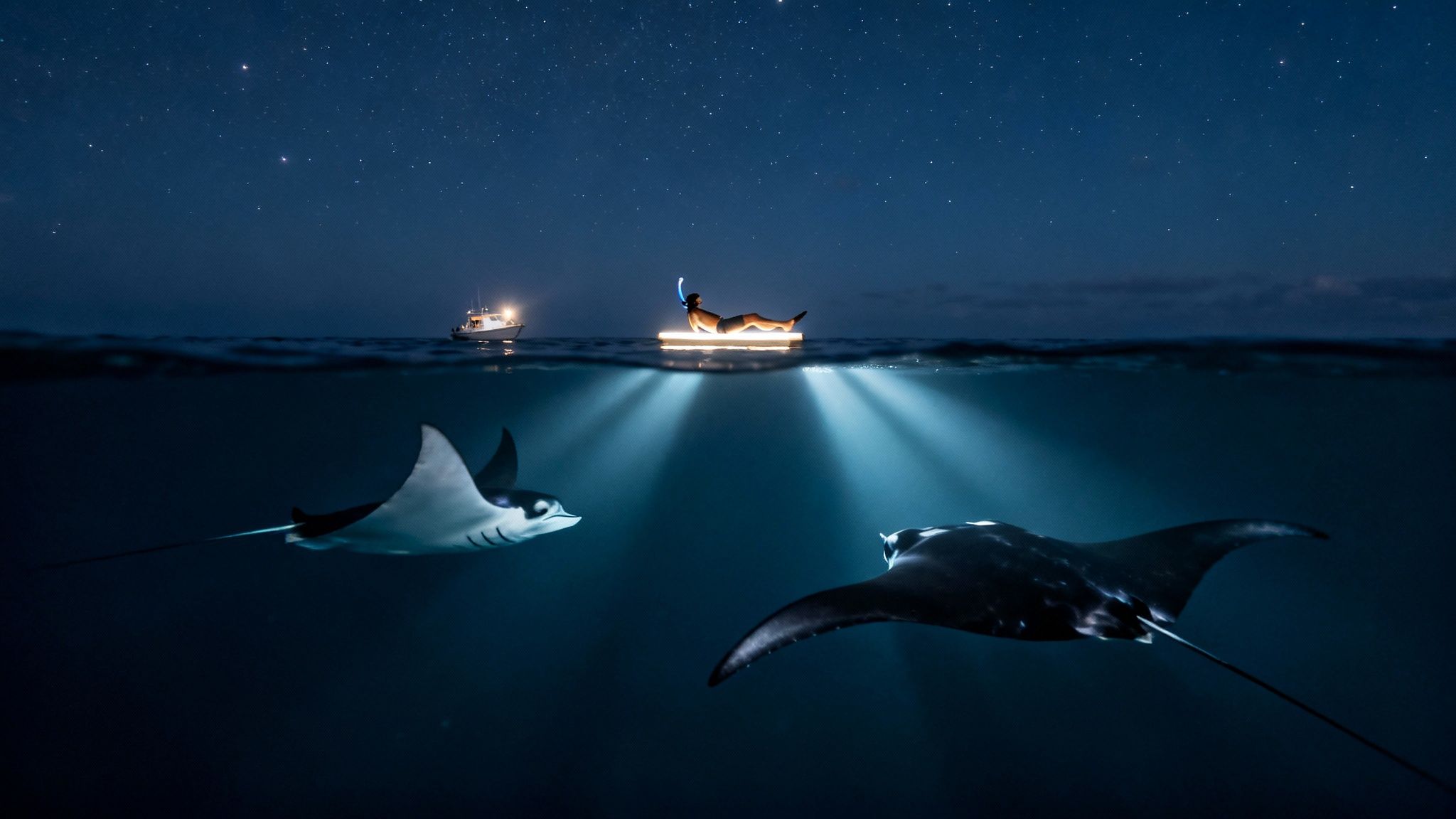 A person floats on an illuminated raft at night, snorkeling above two manta rays in the ocean under a starry sky.