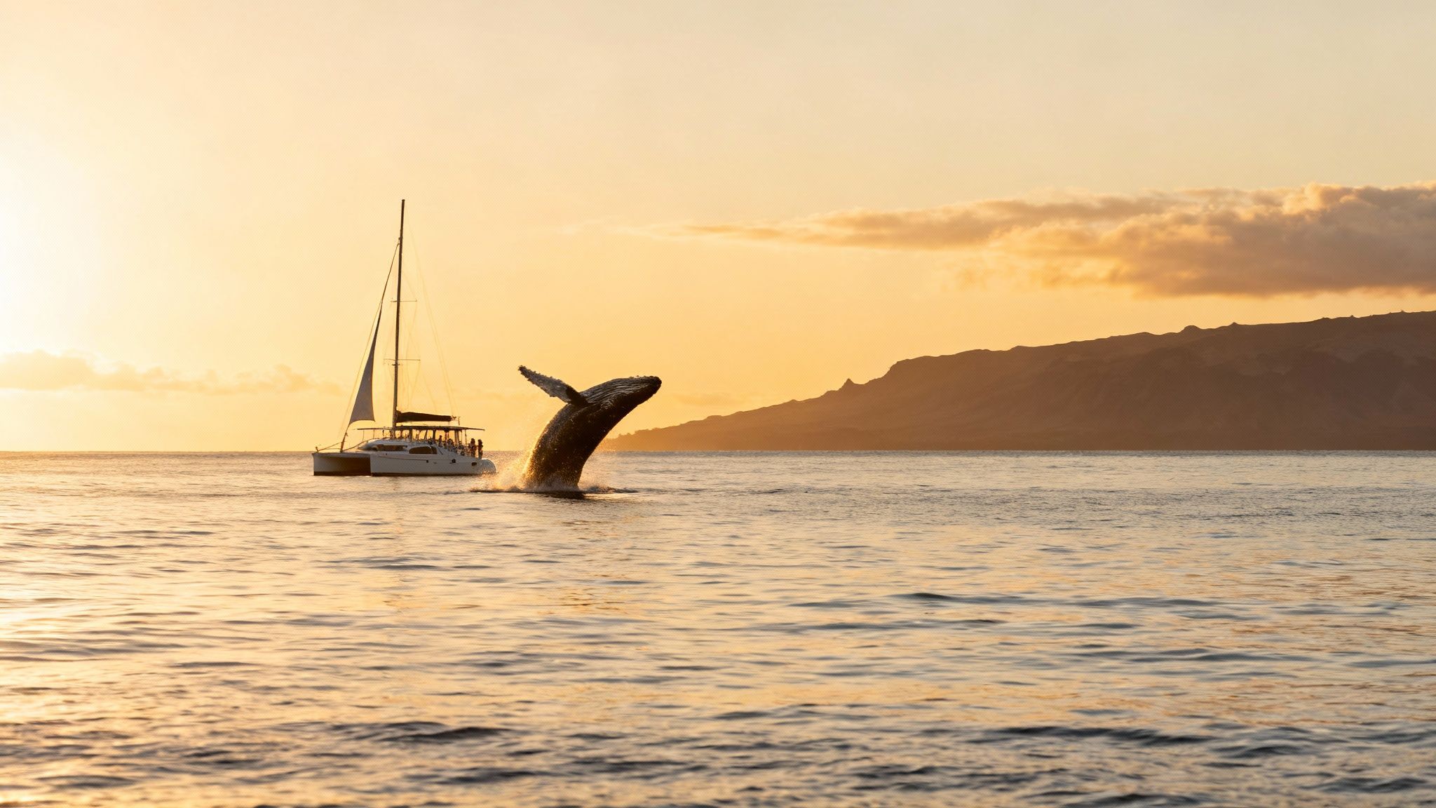 A humpback whale breaching spectacularly out of the water near the Big Island coast.
