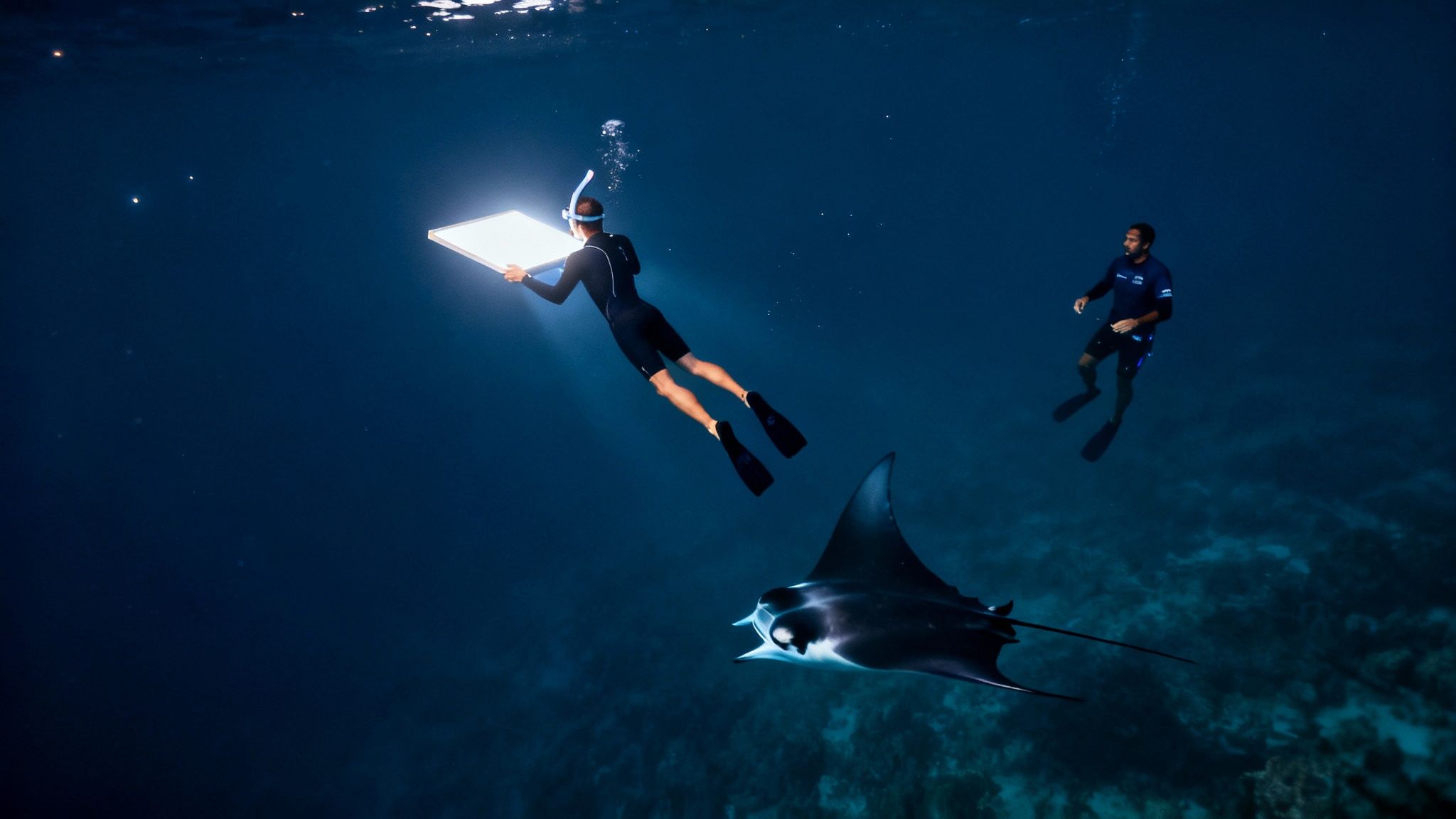 Two snorkelers with a glowing panel attract a majestic manta ray underwater at night.