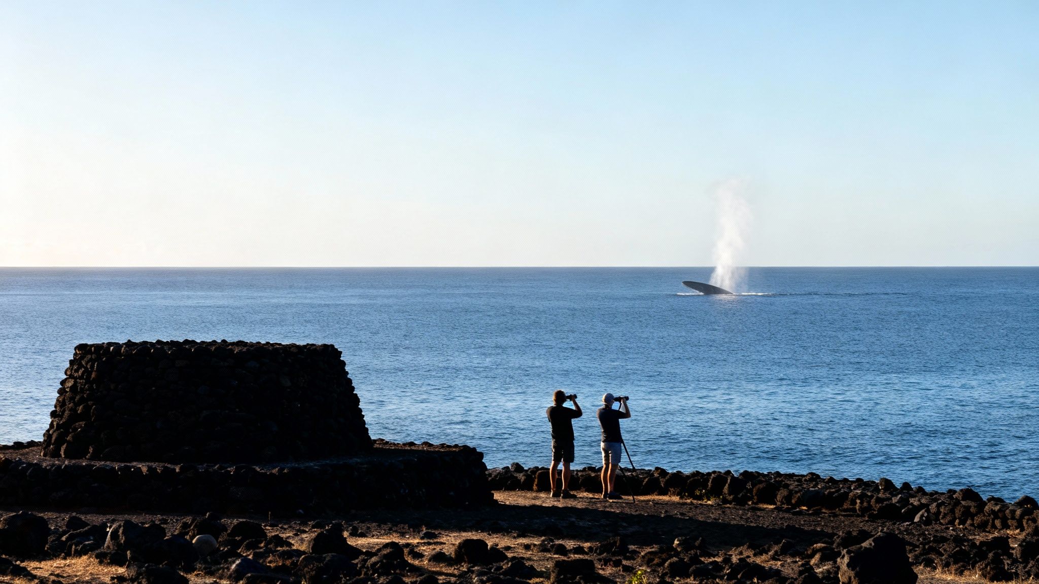 Two people whale watching from a rocky shore, observing a whale spouting water in the ocean.