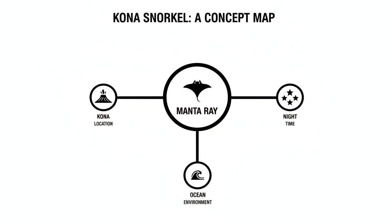 A black and white concept map illustrating the Kona Manta Ray snorkel experience, highlighting location, time, and environment.