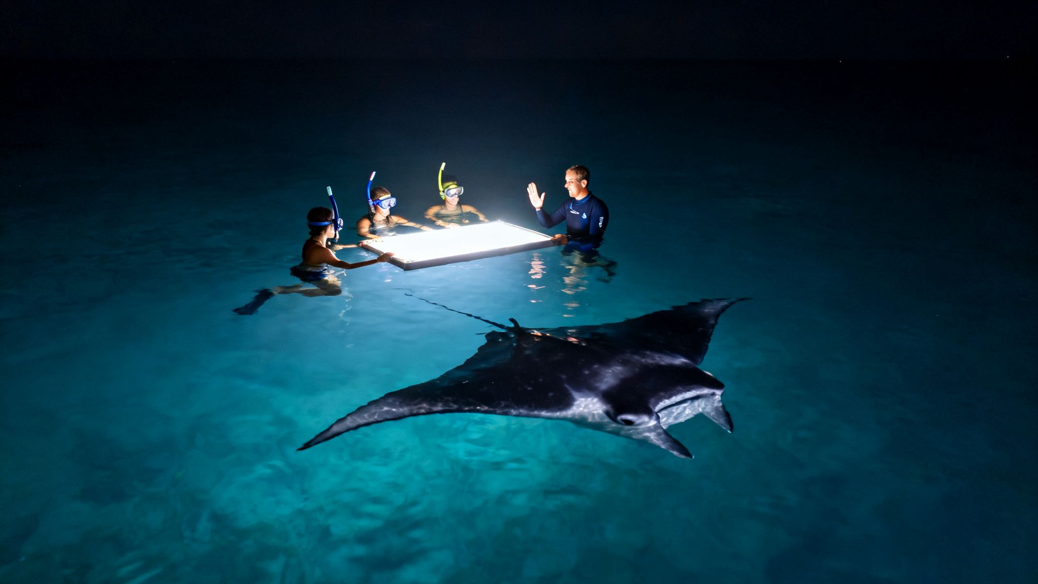 People night snorkeling, watching a large manta ray illuminated by underwater lights in clear water.