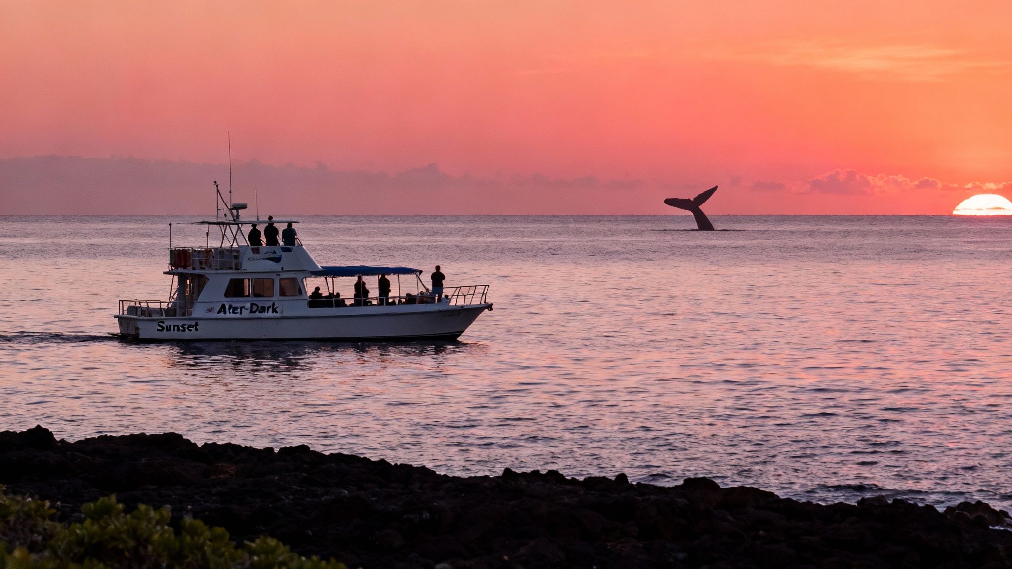 A boat with people watches a whale's tail emerge from the ocean during a vibrant sunset.