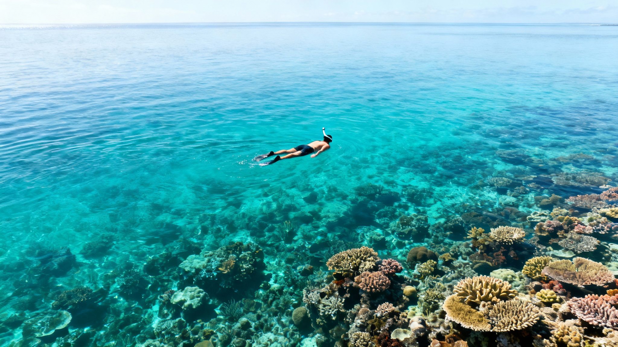 Aerial view of a snorkeler exploring a colorful coral reef in clear blue ocean water.