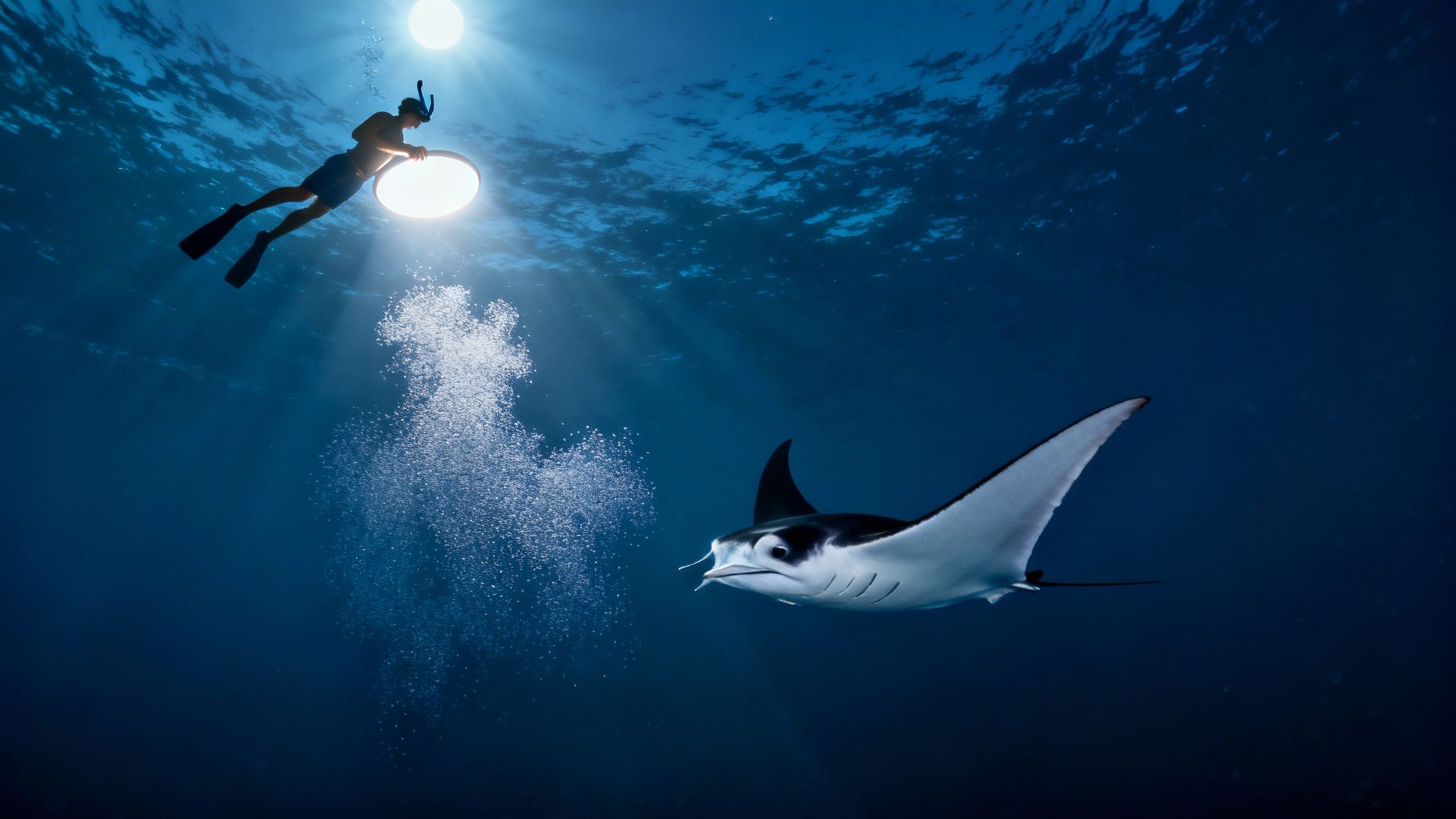 Manta Ray Swimming Underwater: Kona Night Snorkel Adventure