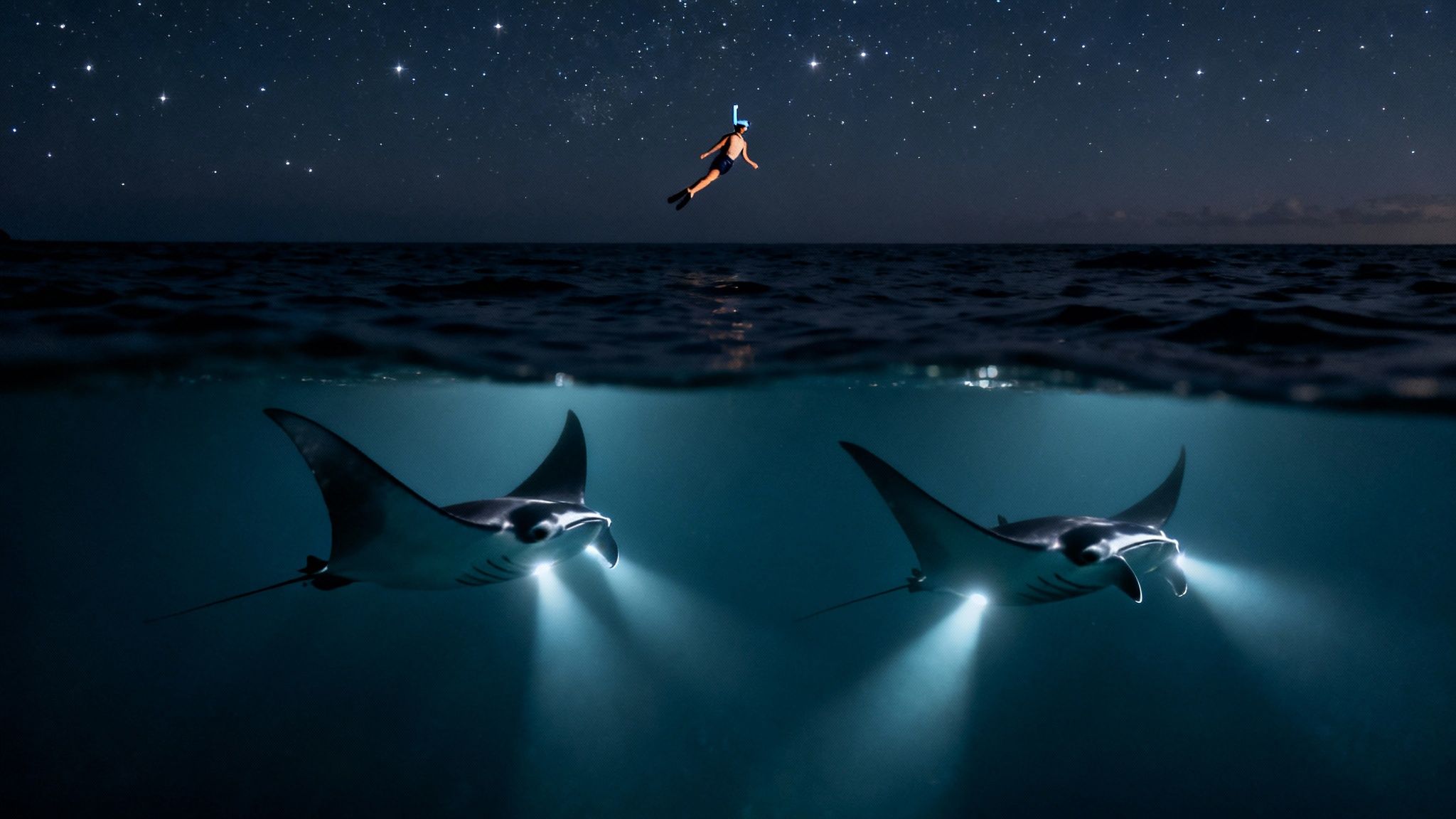 A person snorkels under a starry night sky while two manta rays swim illuminated underwater.