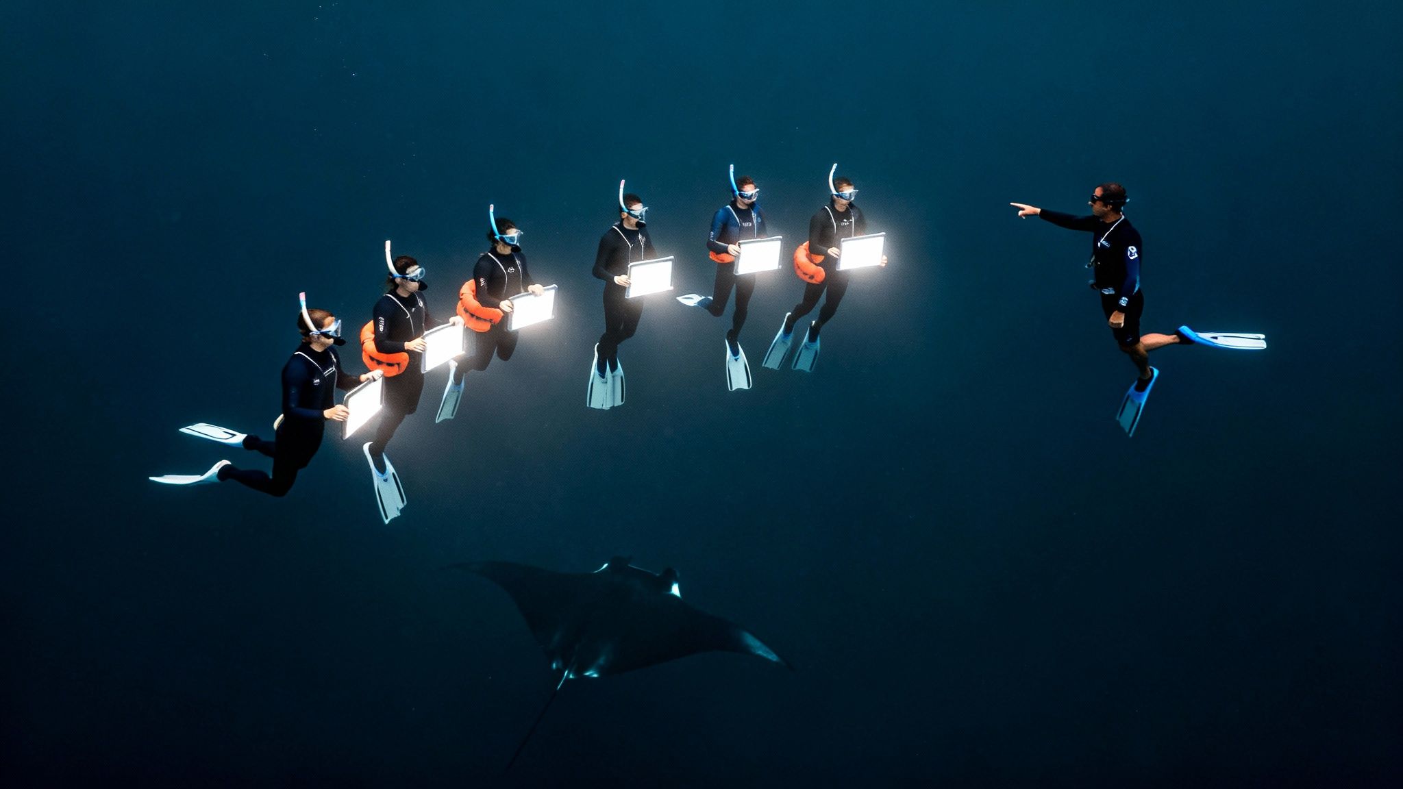 A group of snorkelers with glowing boards and a free diver pointing towards a manta ray underwater.