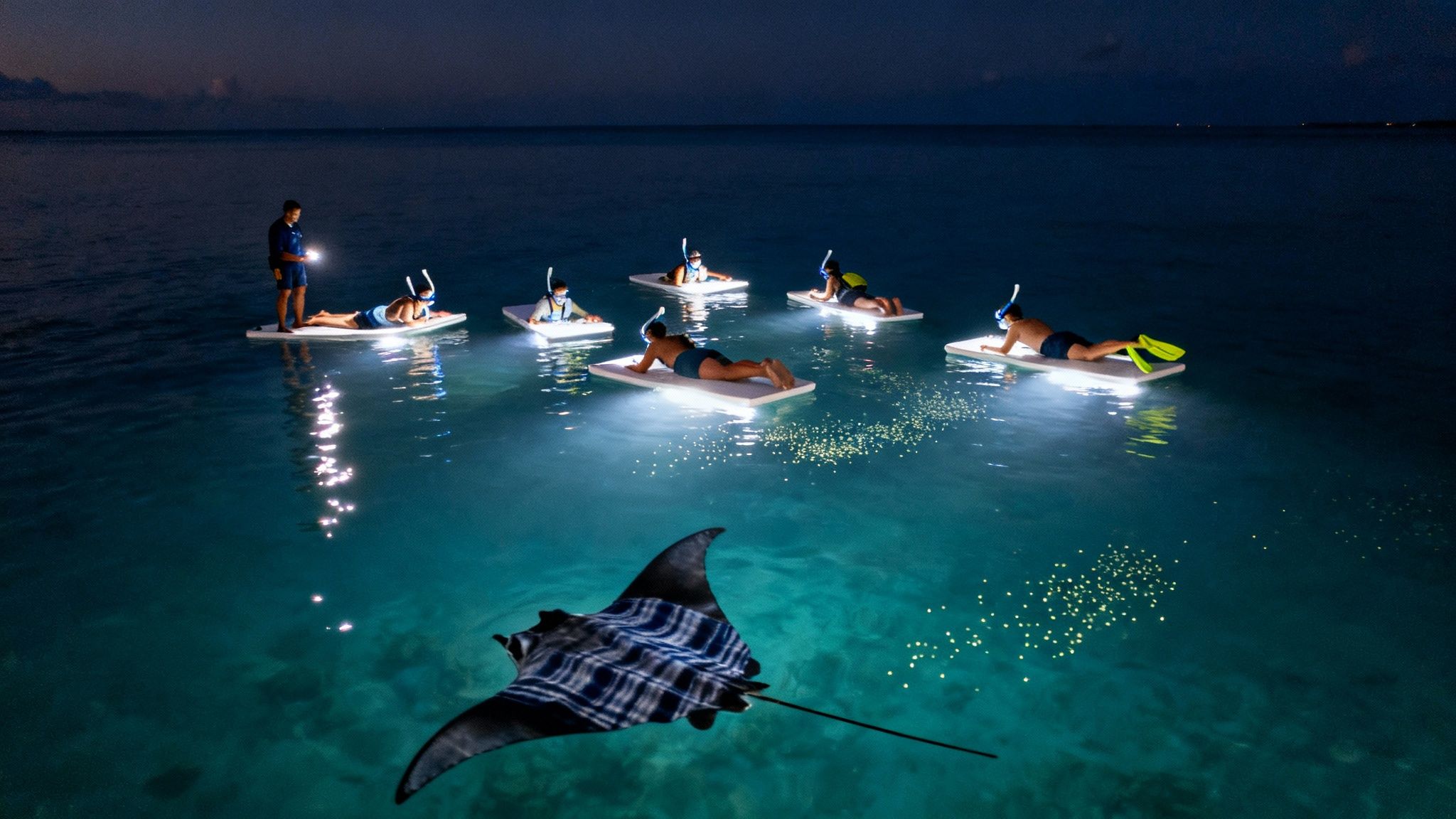 Snorkelers holding onto a light board at night while a manta ray swims below