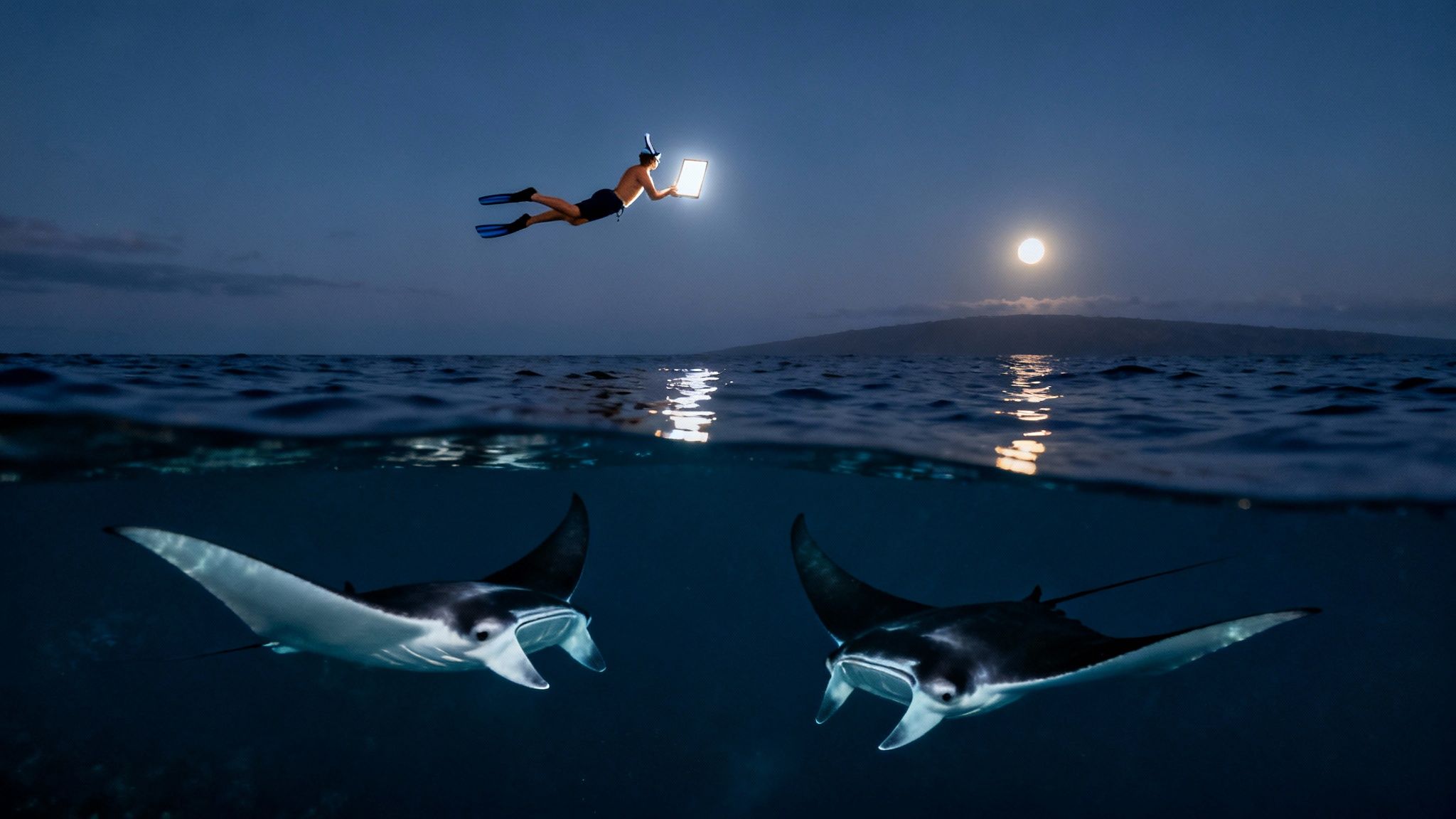 A person snorkeling with a glowing tablet above the ocean, two manta rays below, moonlit night.