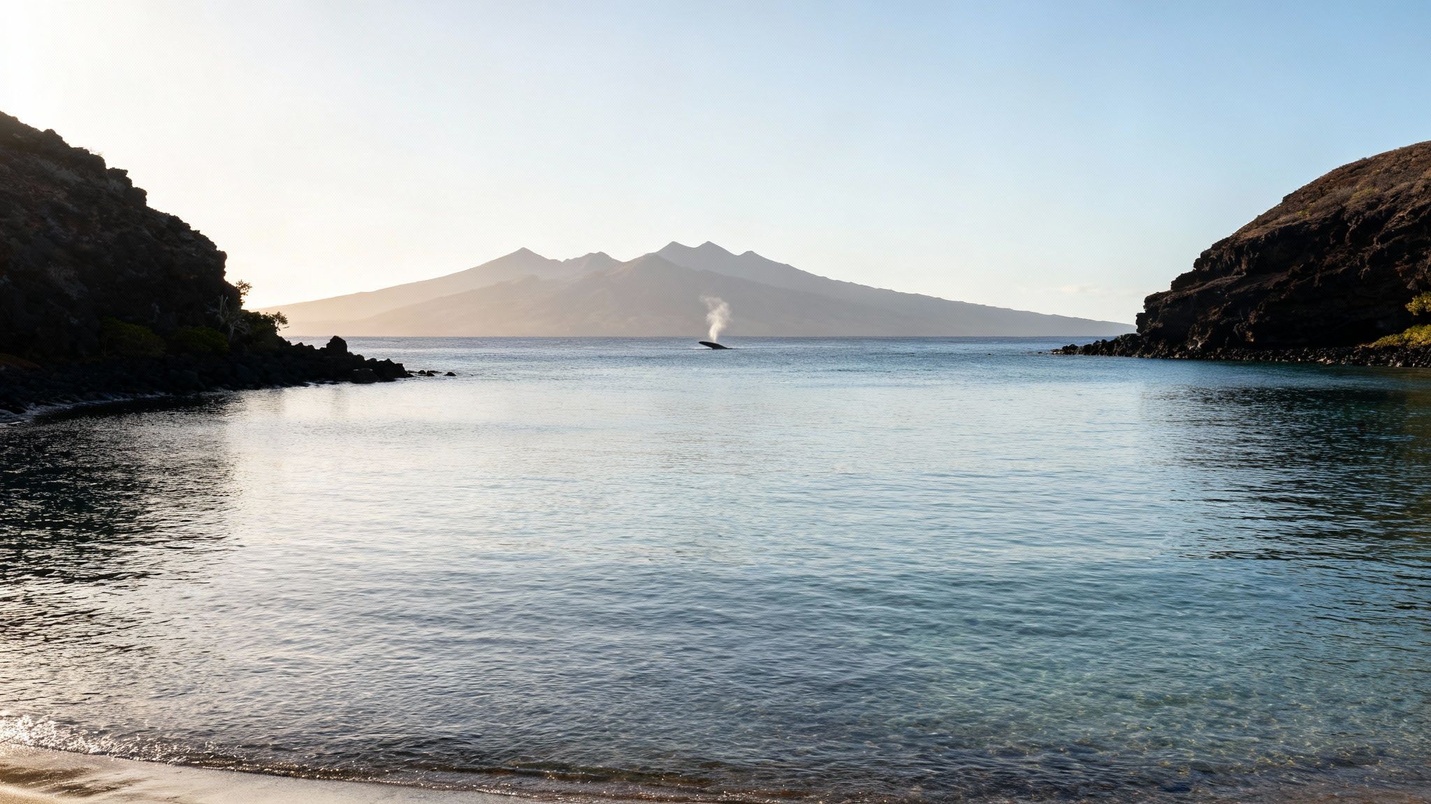 Tranquil bay with volcanic mountains across calm blue water and whale spout visible