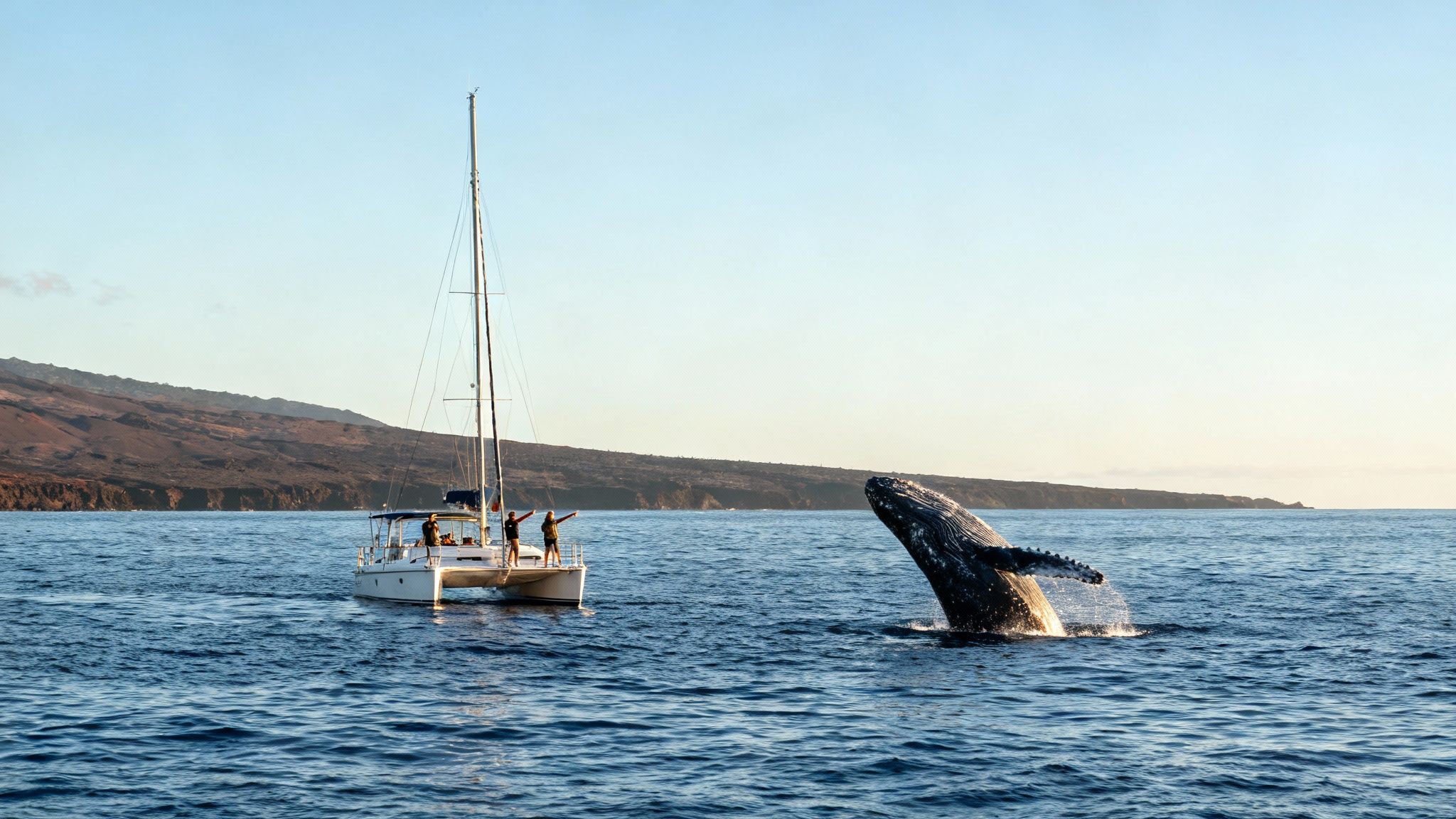 A majestic humpback whale breaches next to a catamaran with excited tourists during whale watching.