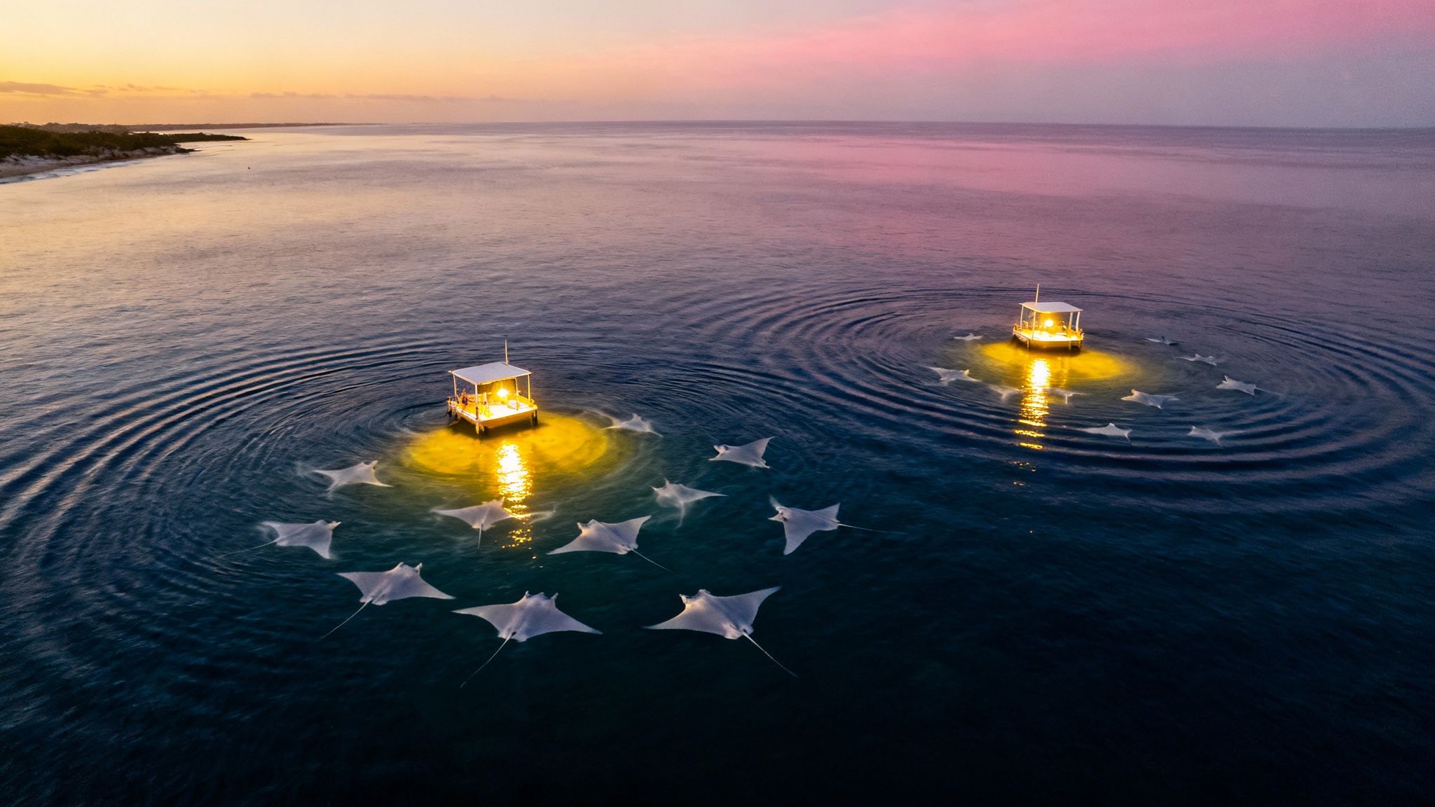 Stunning aerial shot of manta rays circling illuminated boats under a vibrant sunset sky.