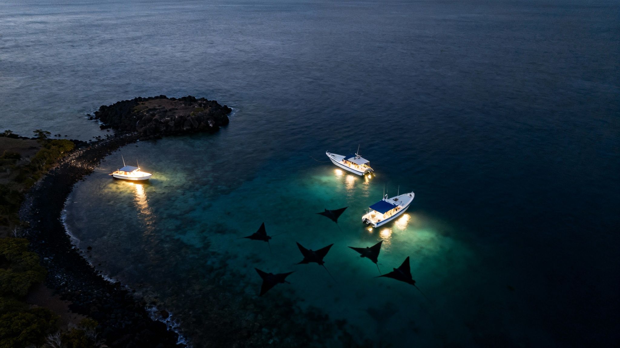 Aerial view of illuminated boats at night, revealing manta rays swimming in clear ocean water.