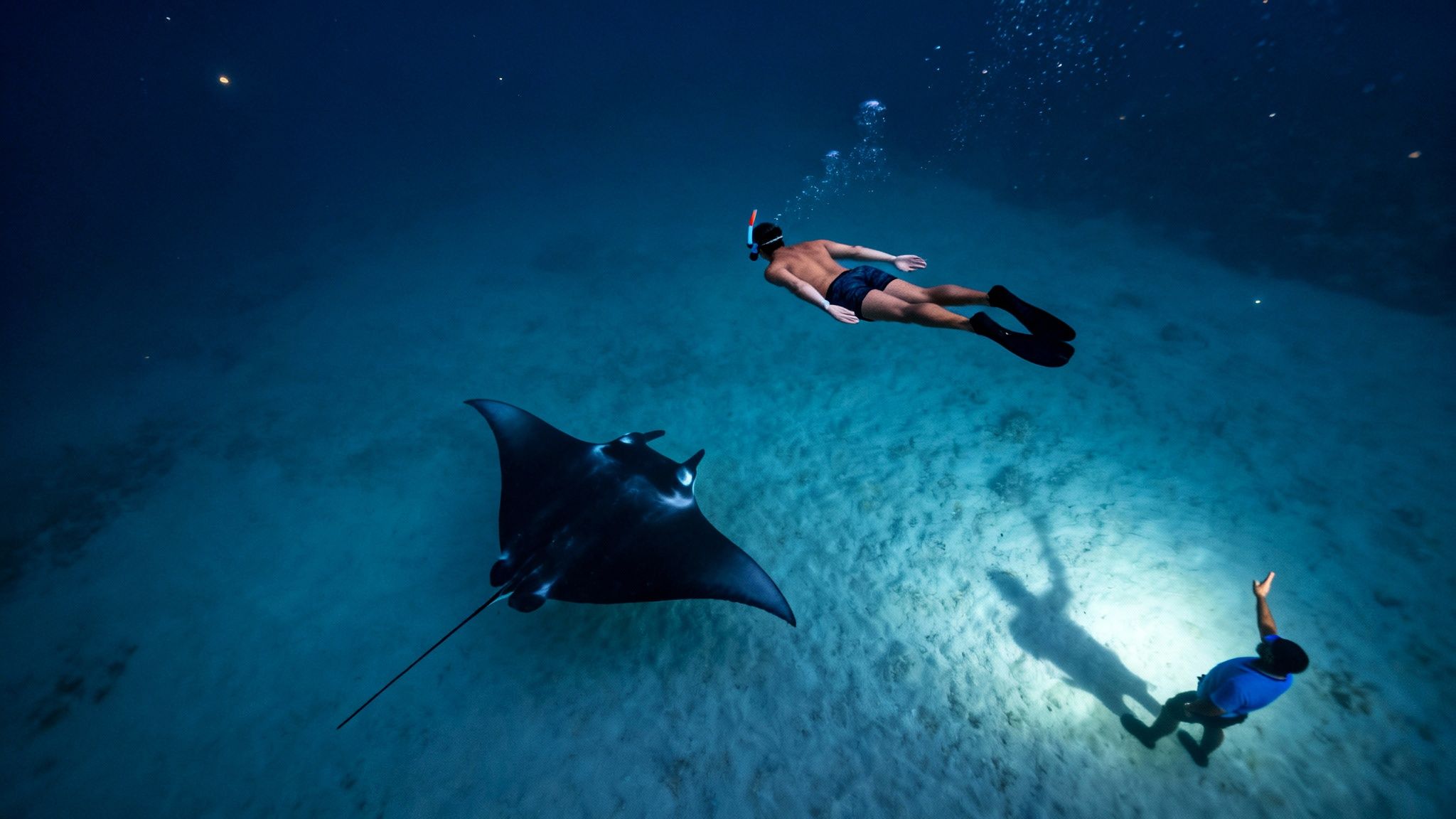 Two snorkelers and a large manta ray swim together in dark blue ocean water.