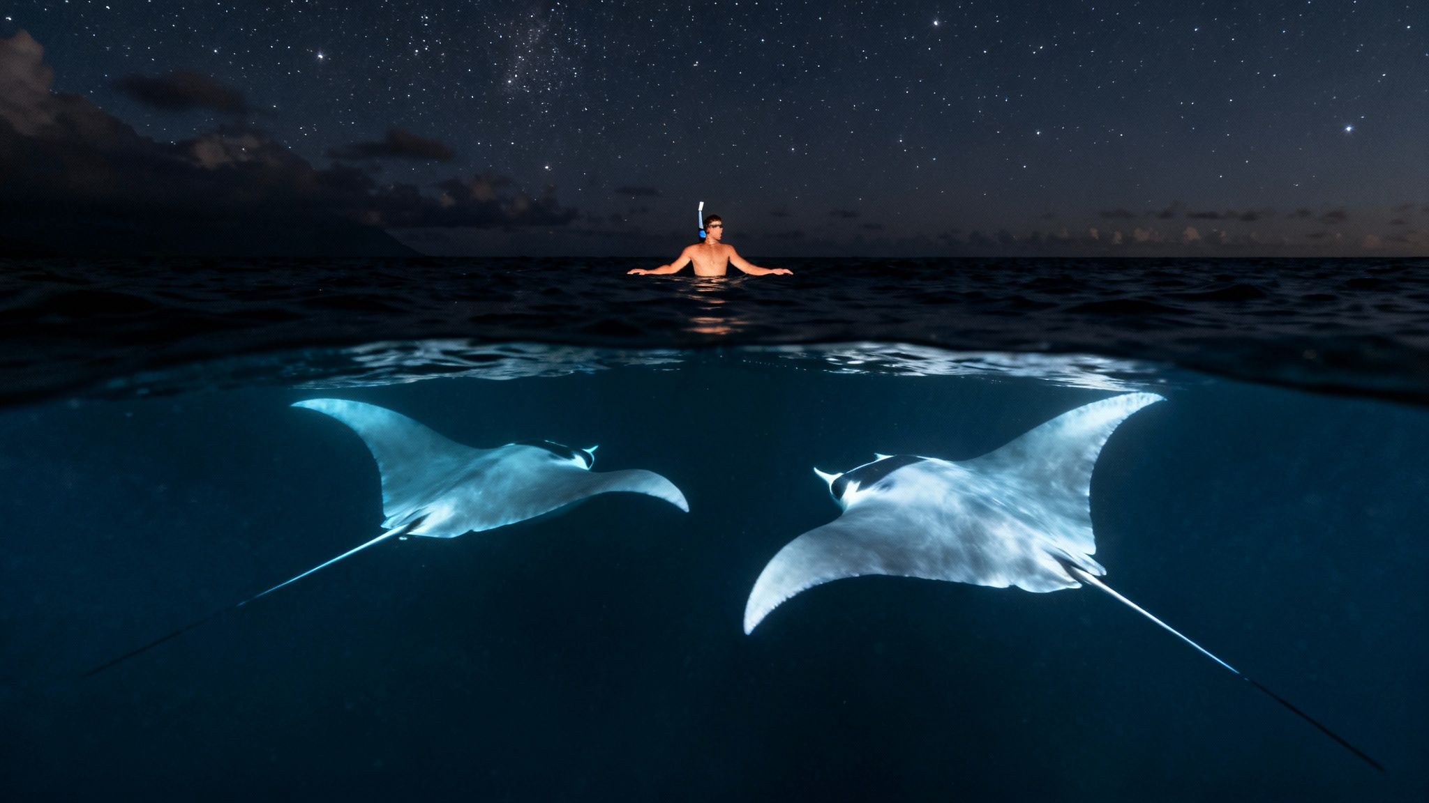 Man snorkeling at night with two illuminated manta rays underwater beneath a starry sky.