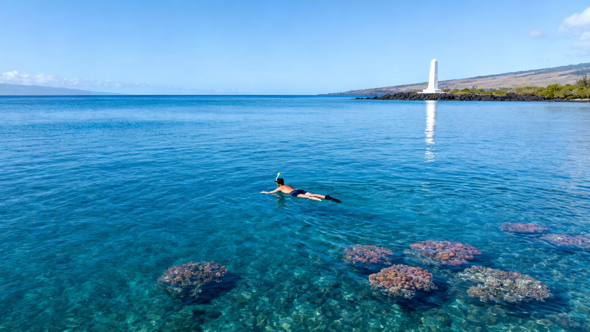 A vibrant coral reef with colorful fish swimming in Kealakekua Bay during a Captain Cook snorkeling tour.