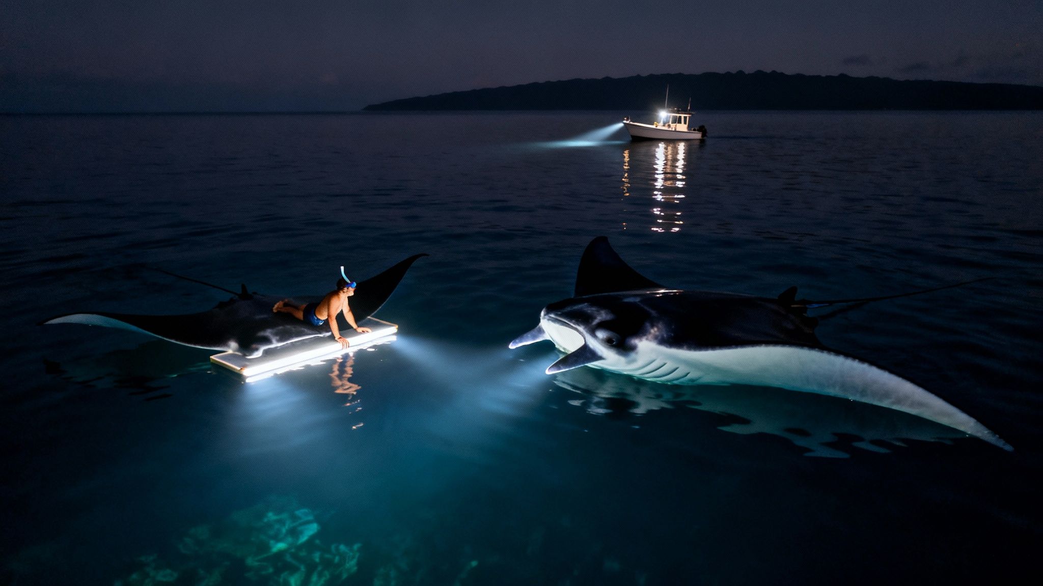 Person on a glowing board observes a huge manta ray during a night snorkel, with another ray and a boat nearby.