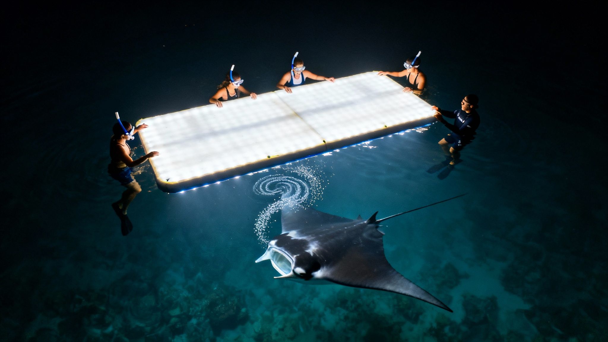 People night snorkeling around an illuminated platform, watching a manta ray feeding in clear water.