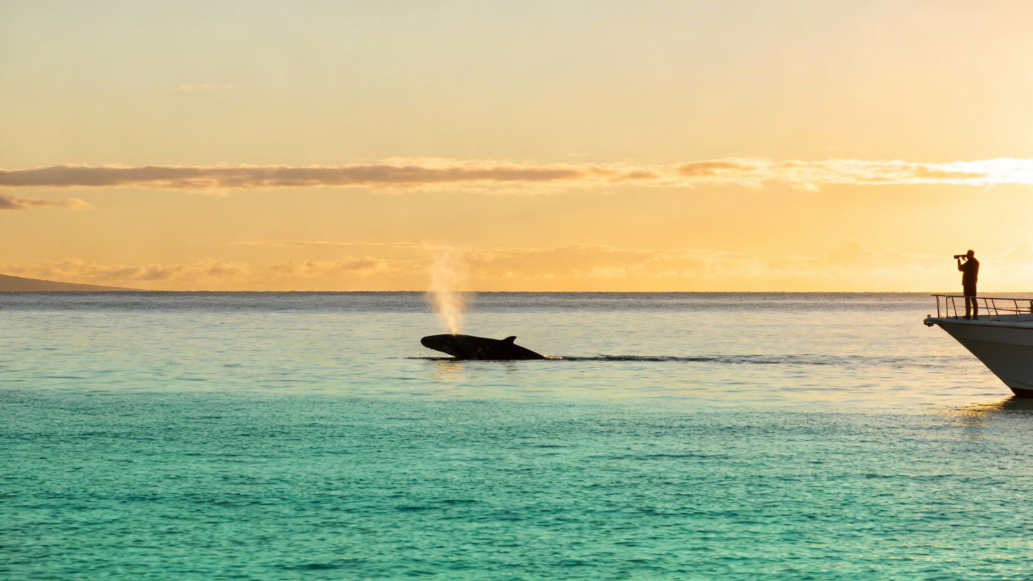 Person photographing humpback whale spouting water from boat bow during golden sunset in Kailua Kona