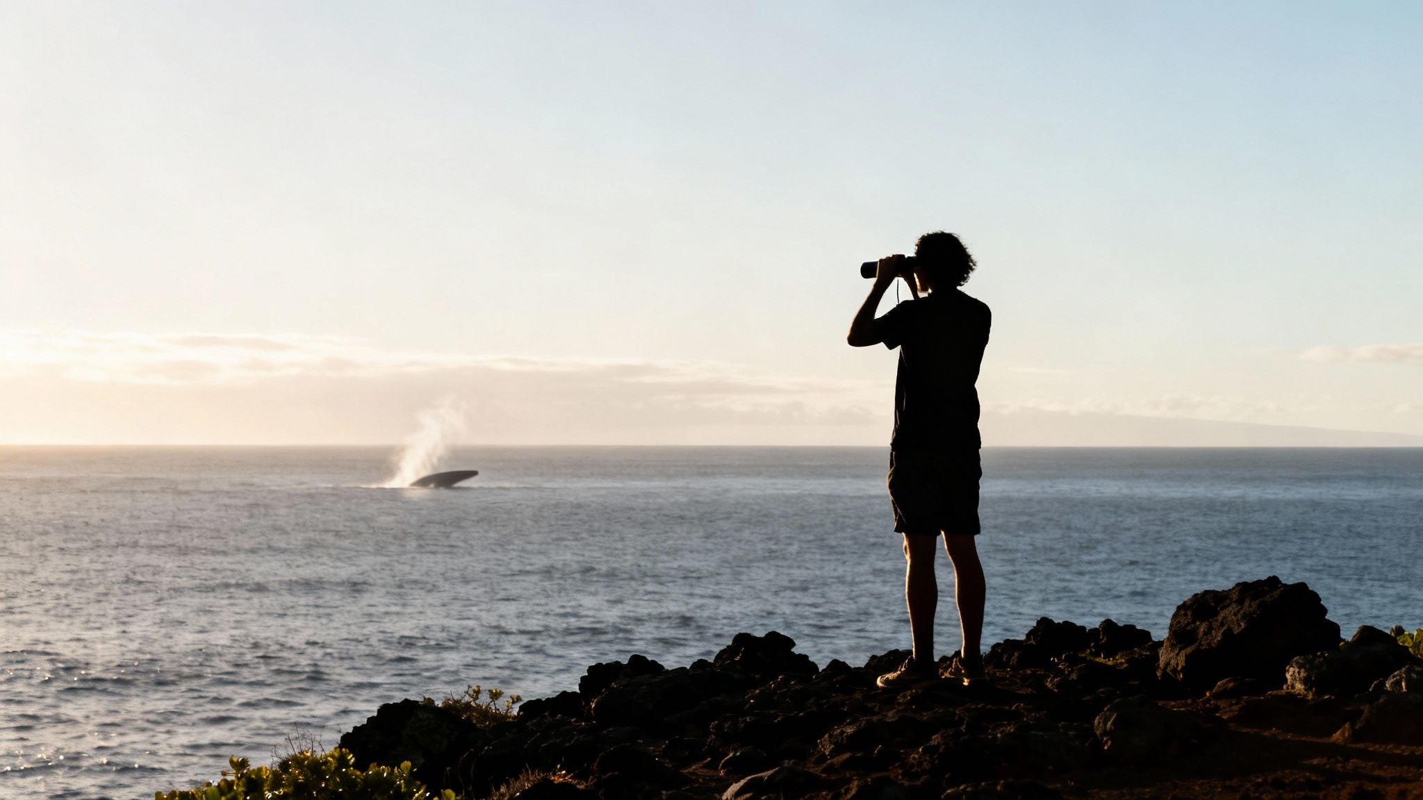 Panoramic view from a Kona shoreline overlook, showing the expansive blue ocean where whales can be spotted.