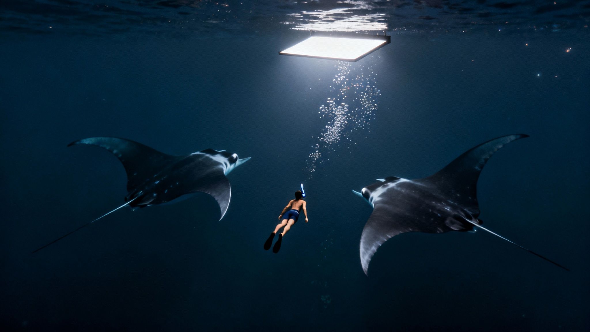 A snorkeler swims between two majestic manta rays at night, illuminated by an overhead light.