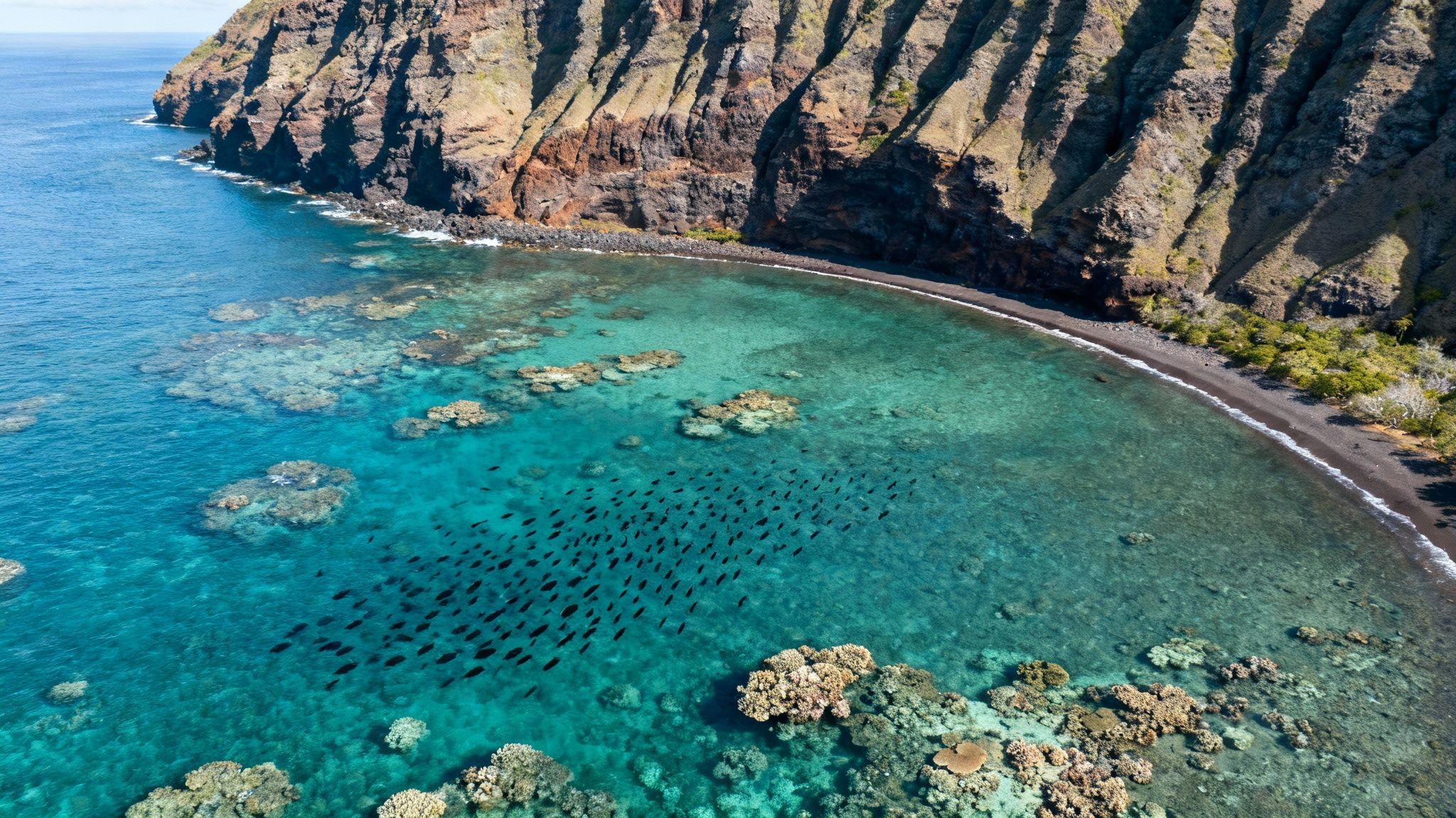 Aerial view of a vibrant coral reef and clear turquoise water with a school of fish near rocky cliffs.