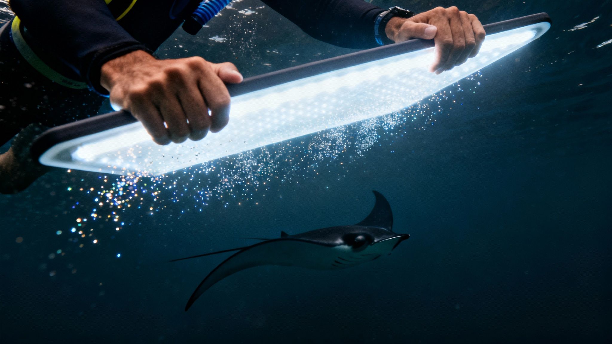 A person holds an illuminated board underwater, attracting a majestic manta ray among glittering particles.